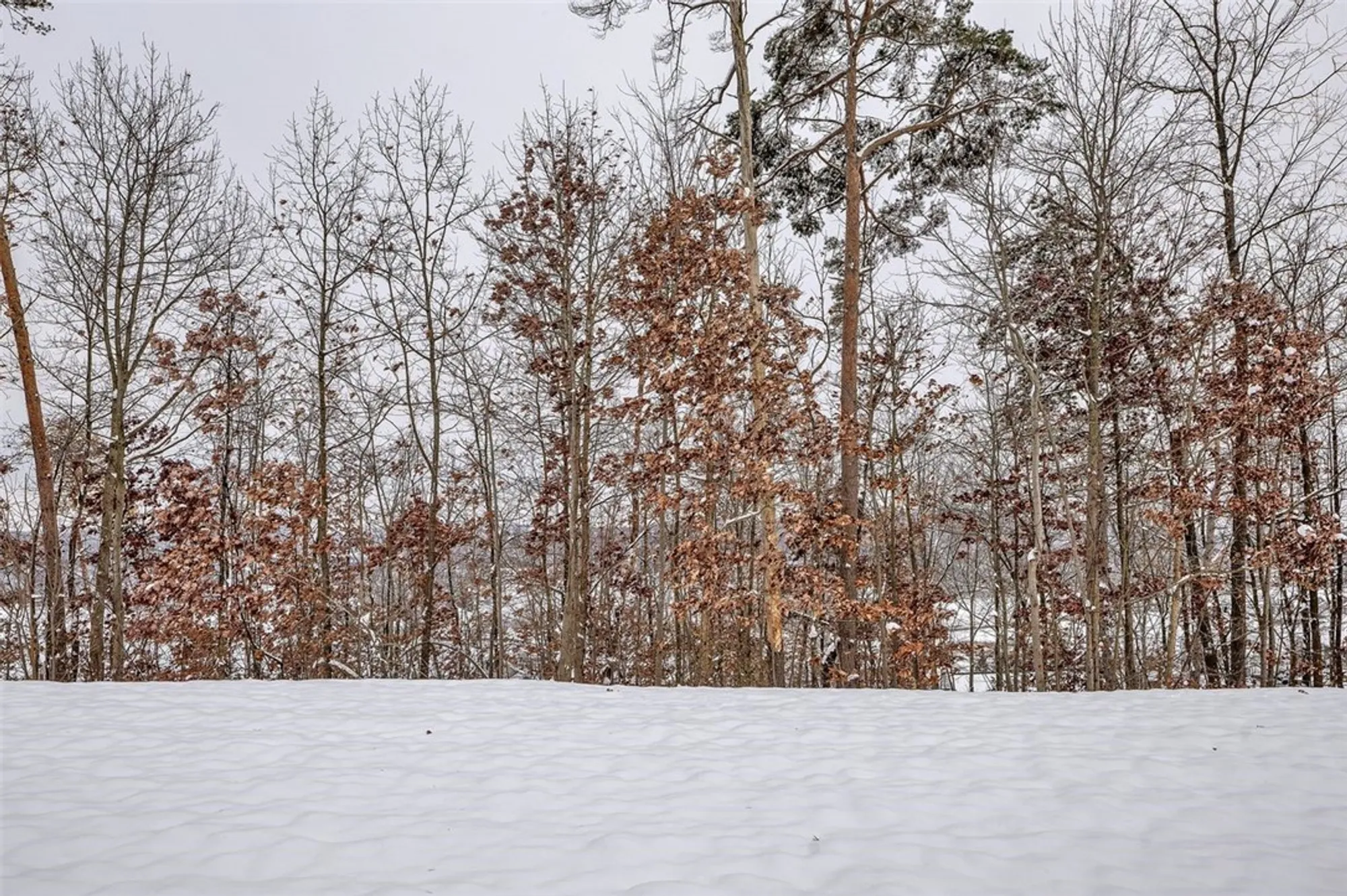 Property Slideshow image 4 of 43 | 288 jefferson ln, Cranberry Twp, PA, 16066