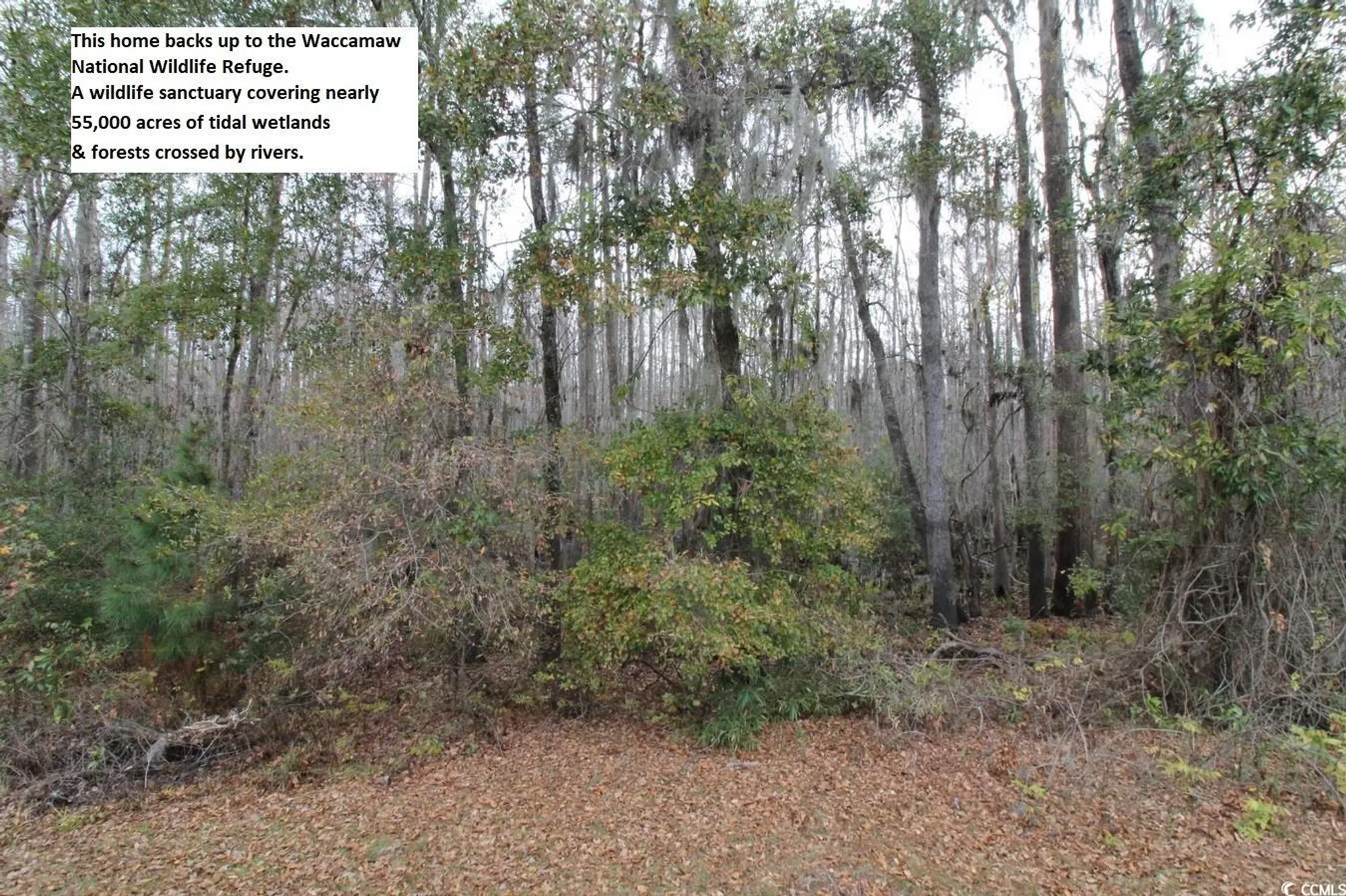 Property Slideshow image 28 of 40 | 1514 saint george ln, Myrtle Beach, SC, 29588