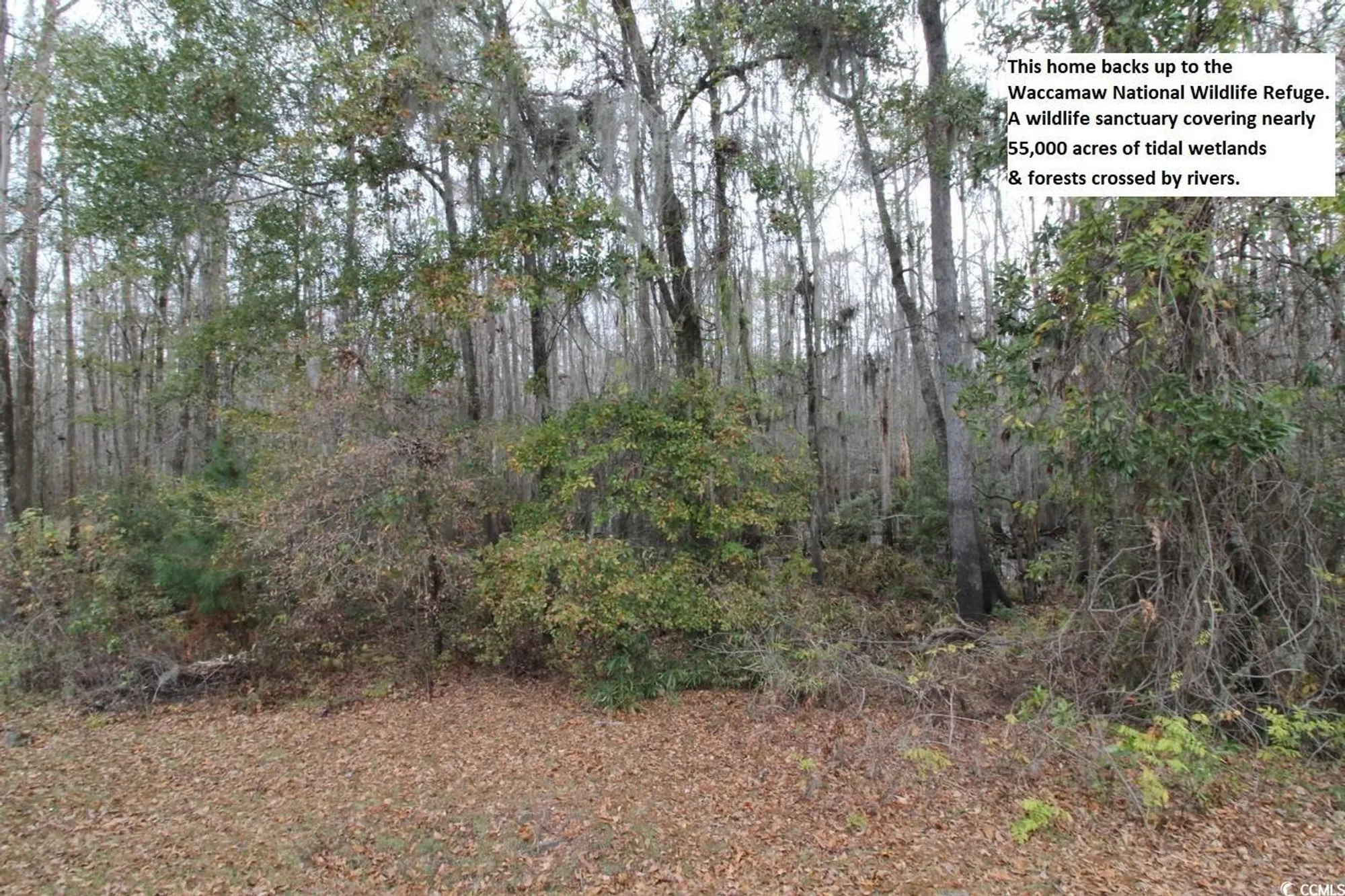 Property Slideshow image 29 of 40 | 1514 saint george ln, Myrtle Beach, SC, 29588