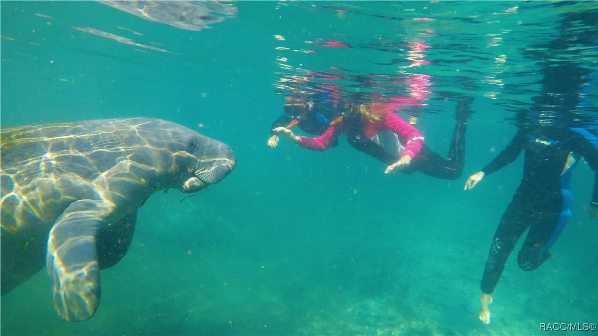 Property Slideshow image 43 of 48 | 3792 e kiwi cove ct, Hernando, FL, 34442