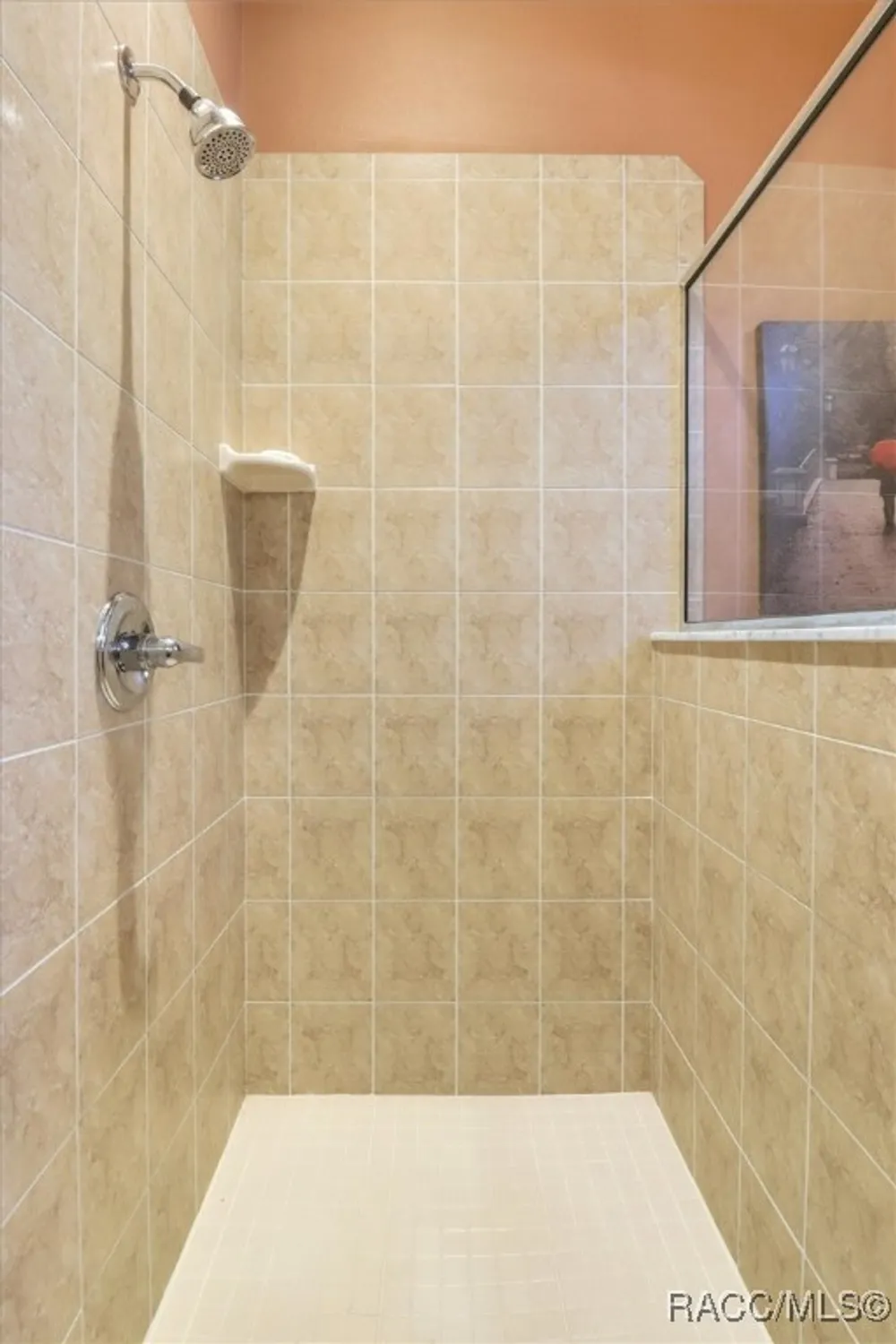 Property Slideshow image 59 of 78 | 1036 w lake valley ct, Hernando, FL, 34442