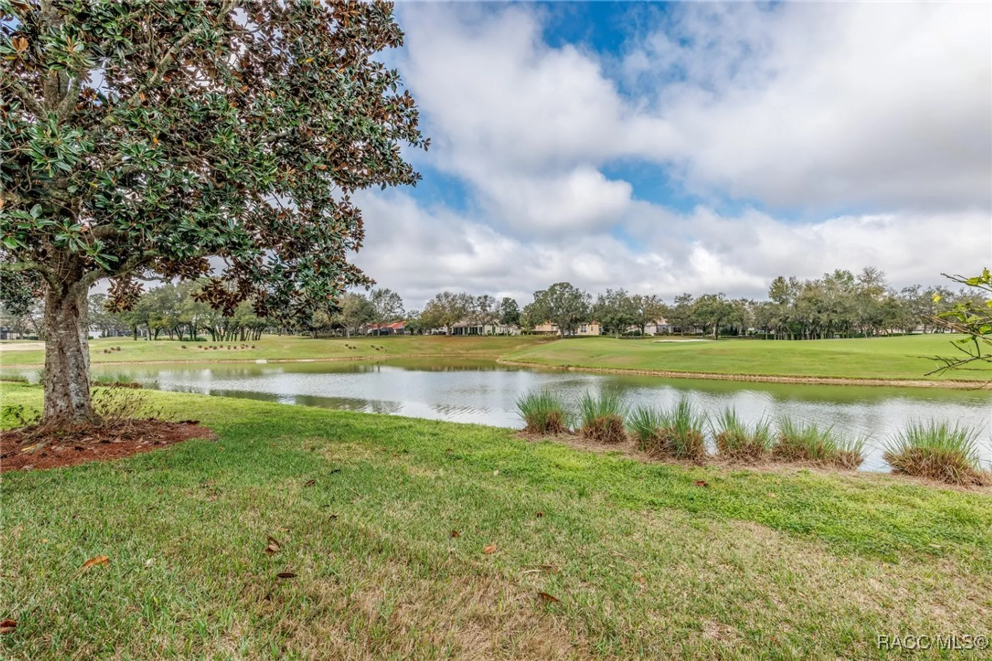 Property Slideshow image 31 of 51 | 1095 w skyview landings dr, Hernando, FL, 34442