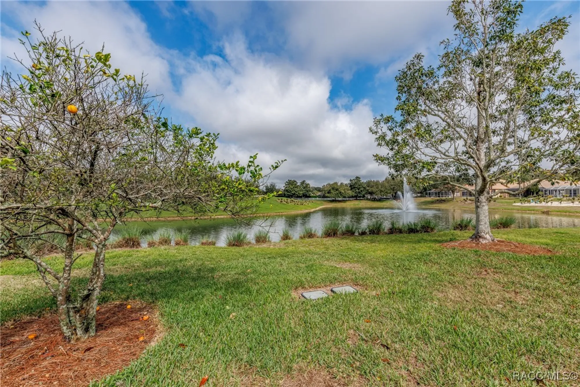 Property Slideshow image 32 of 51 | 1095 w skyview landings dr, Hernando, FL, 34442