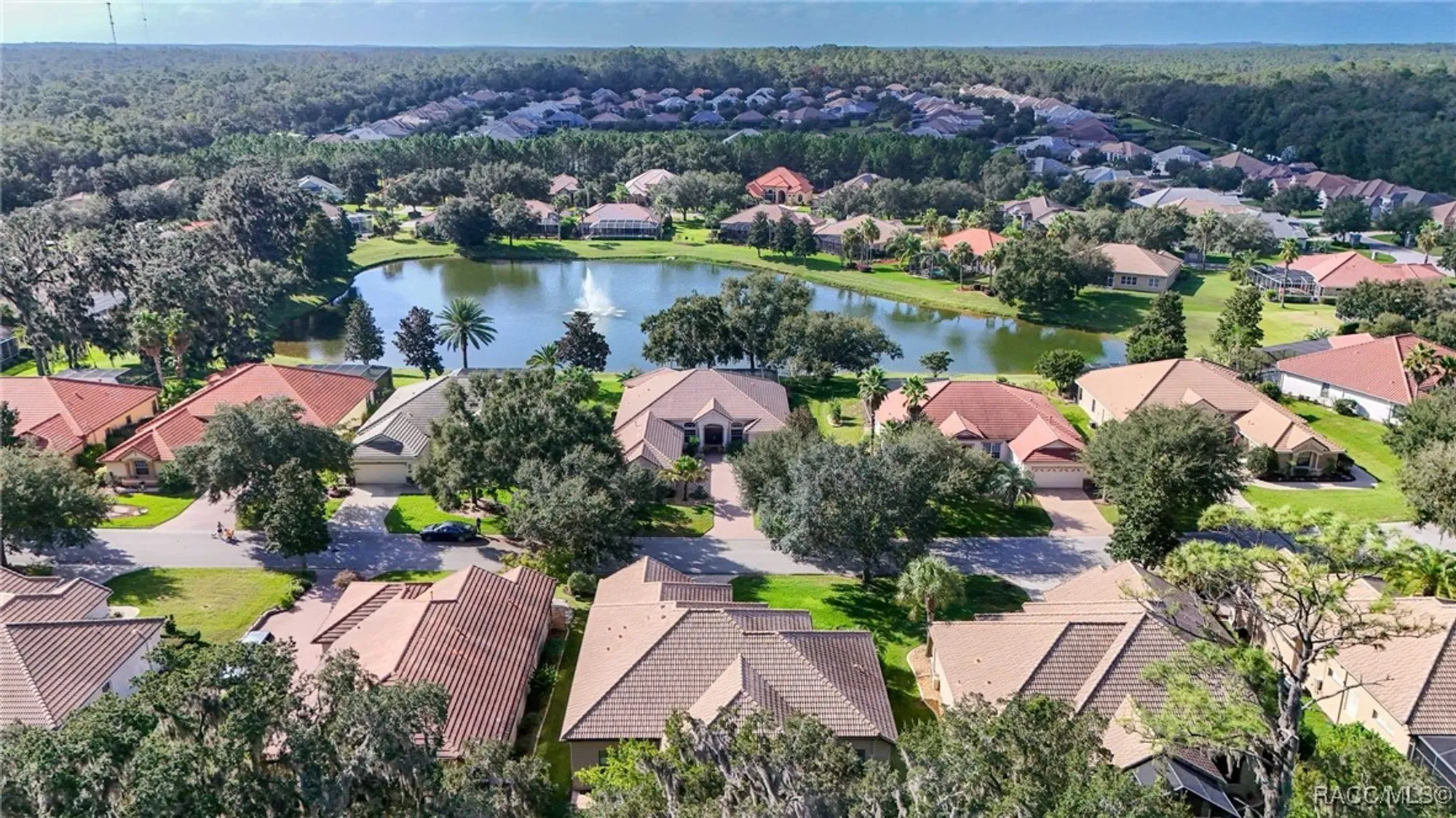 Property Slideshow image 55 of 67 | 1040 w beagle run loop, Hernando, FL, 34442