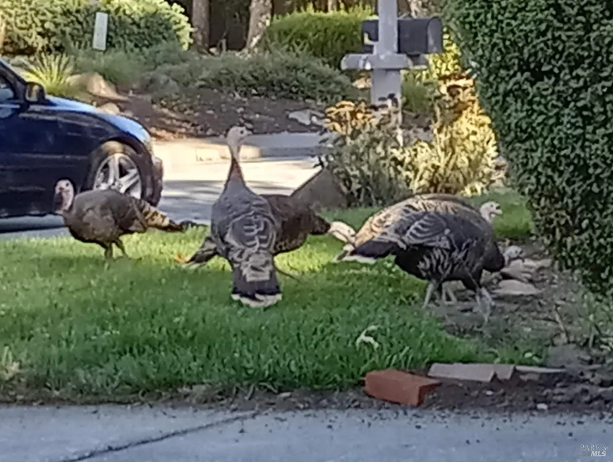 Property Slideshow image 47 of 57 | 6472 stone bridge rd, Santa Rosa, CA, 95409