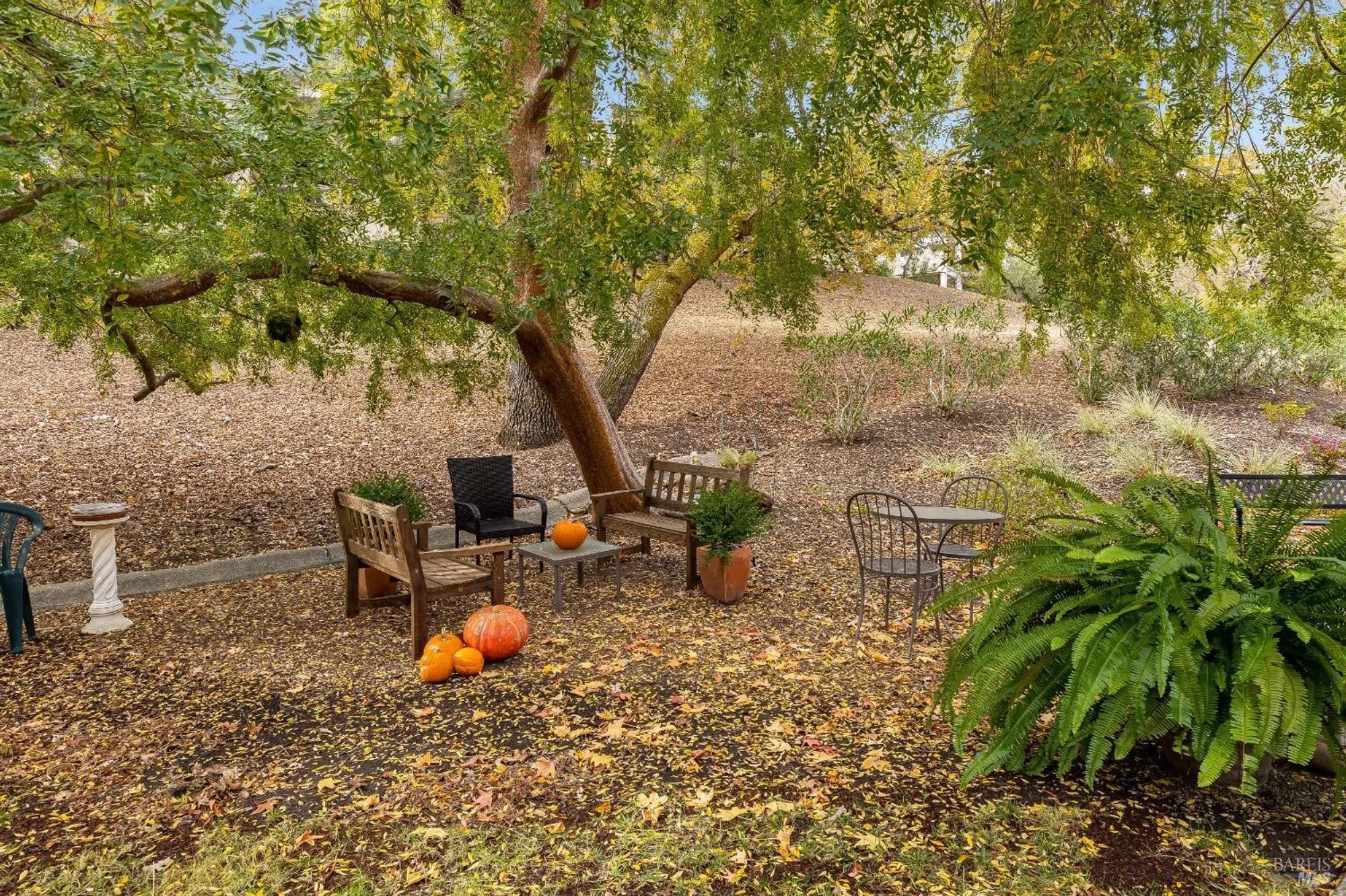 Property Slideshow image 19 of 31 | 3473 tice creek dr apt 1, Walnut Creek, CA, 94595