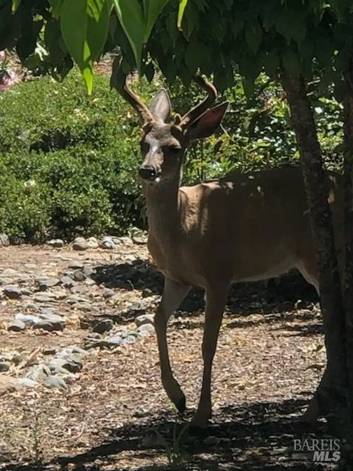 Property Slideshow image 26 of 27 | 6749 wintergreen ct, Santa Rosa, CA, 95409