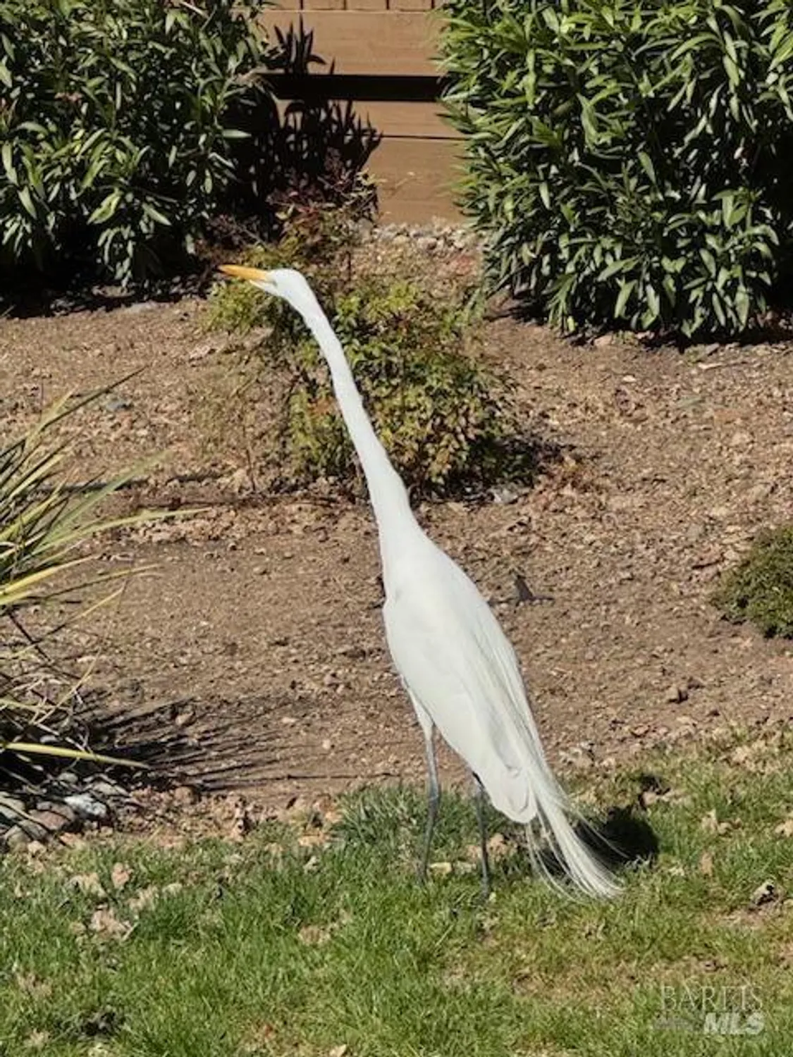 Property Slideshow image 27 of 27 | 6749 wintergreen ct, Santa Rosa, CA, 95409