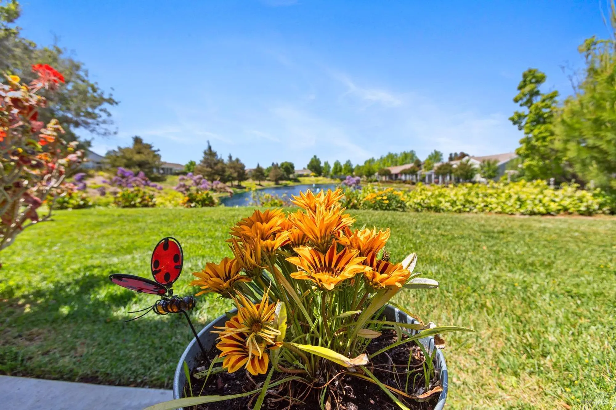 Property Slideshow image 12 of 40 | 573 laurel pl, Rio Vista, CA, 94571