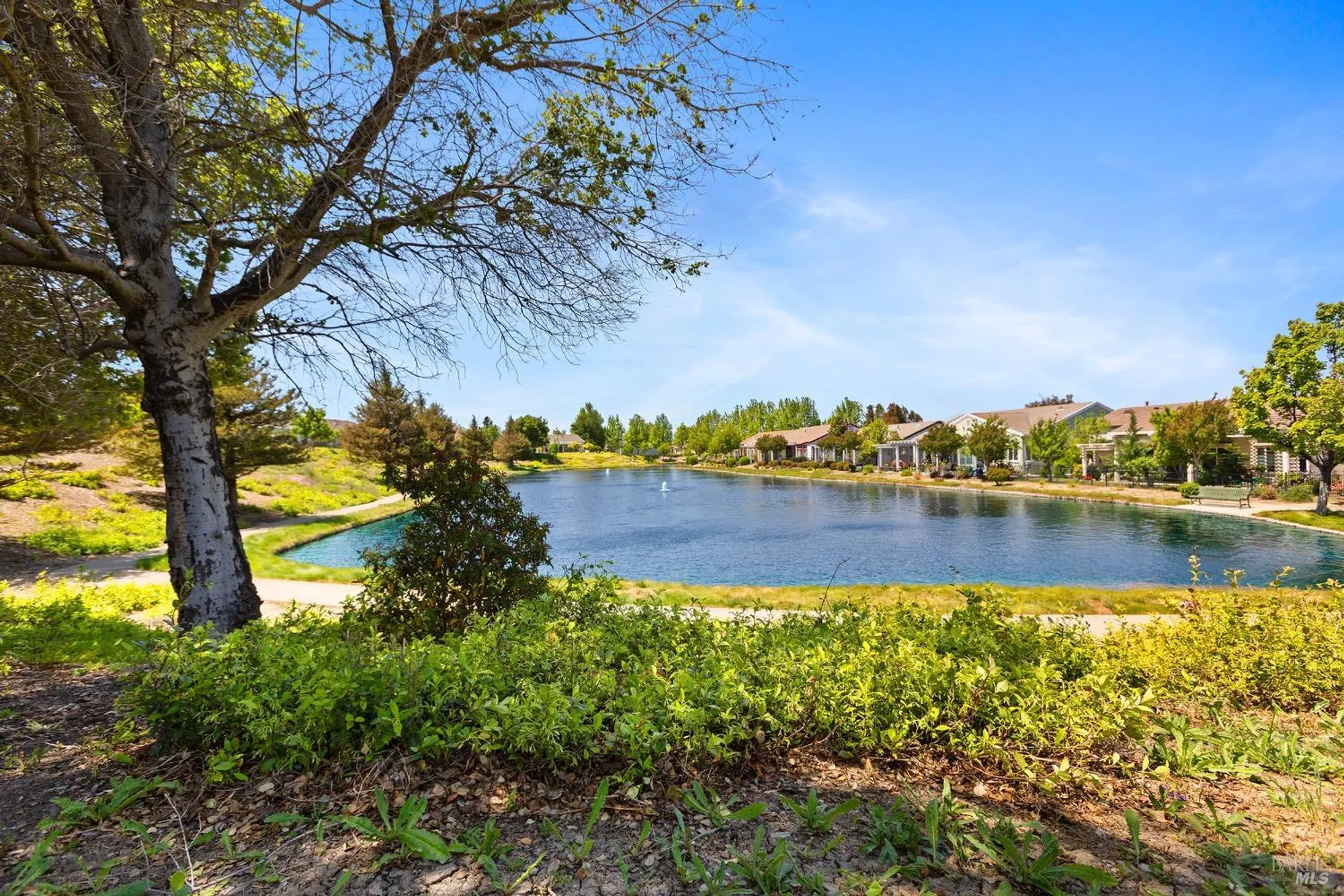 Property Slideshow image 17 of 40 | 573 laurel pl, Rio Vista, CA, 94571