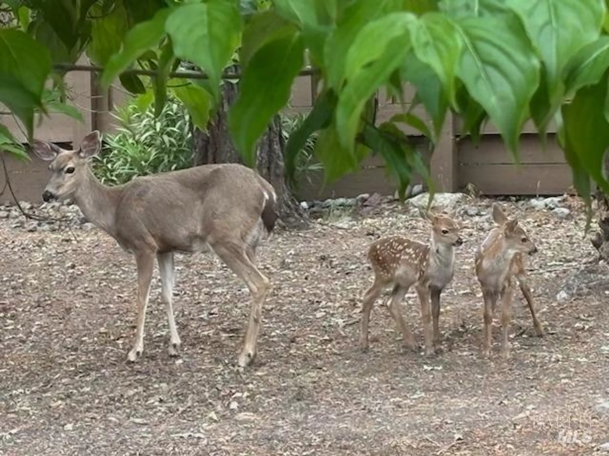 Property Slideshow image 25 of 27 | 6749 wintergreen ct, Santa Rosa, CA, 95409