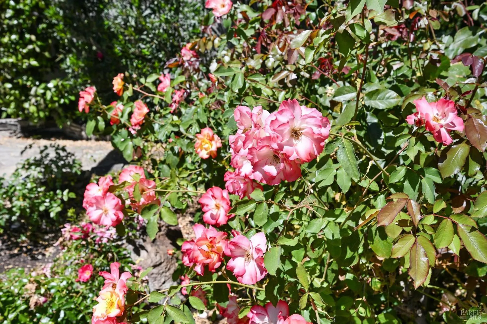 Property Slideshow image 58 of 61 | 110 calle merlot, Sonoma, CA, 95476