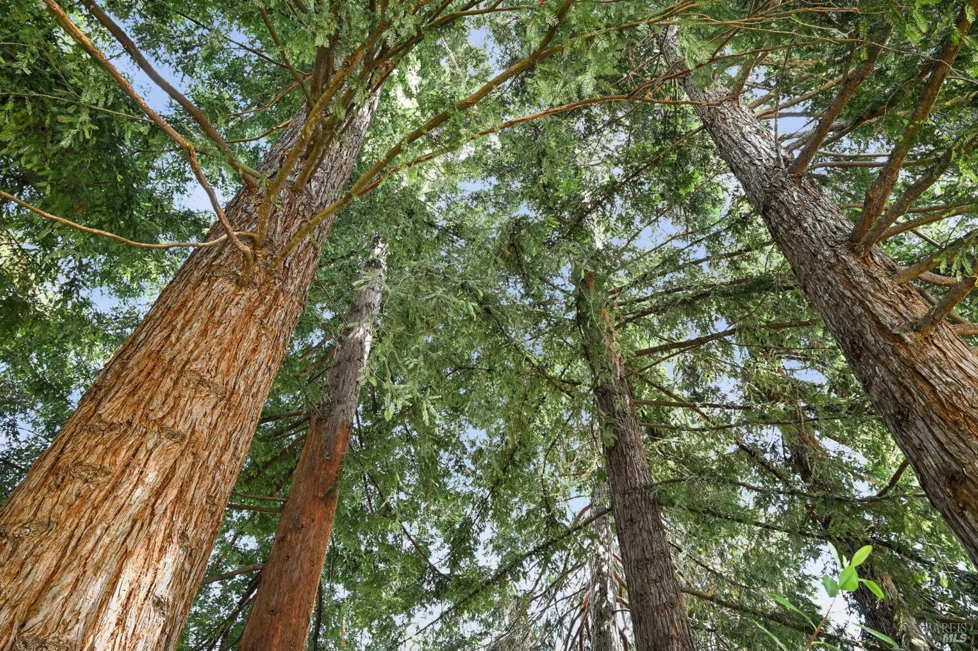 Property Slideshow image 57 of 61 | 110 calle merlot, Sonoma, CA, 95476