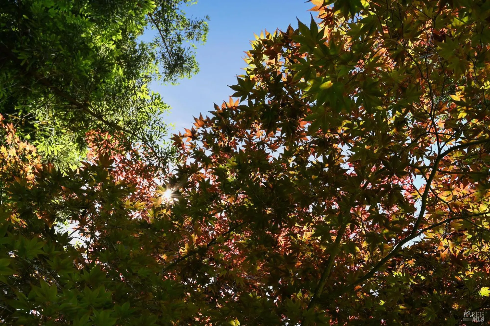 Property Slideshow image 56 of 61 | 110 calle merlot, Sonoma, CA, 95476