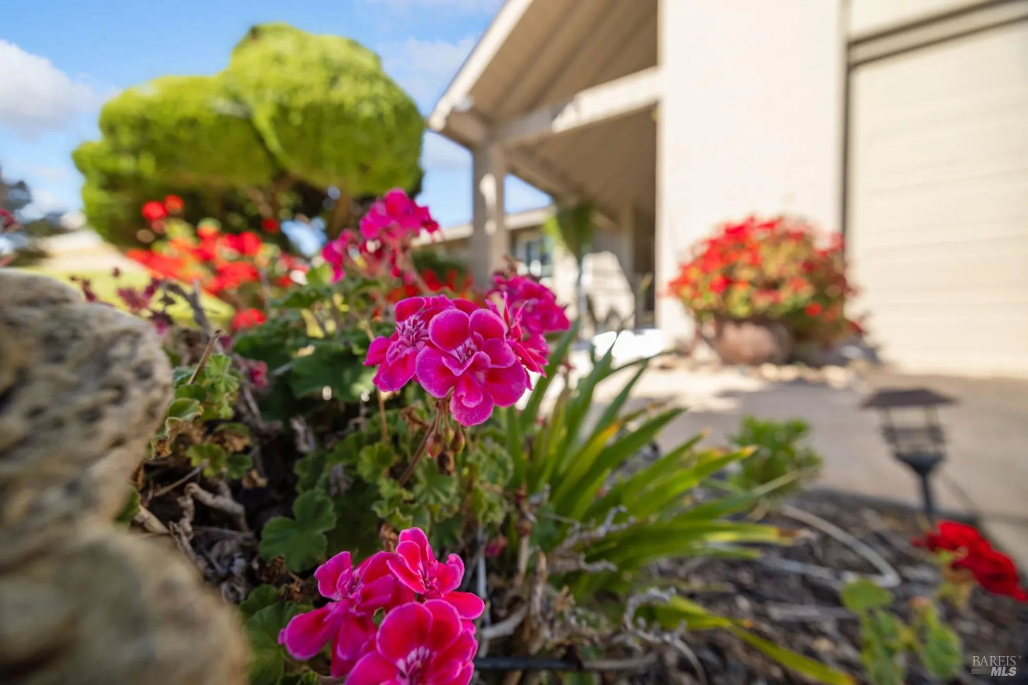 Property Slideshow image 3 of 61 | 319 laurel leaf pl, Santa Rosa, CA, 95409