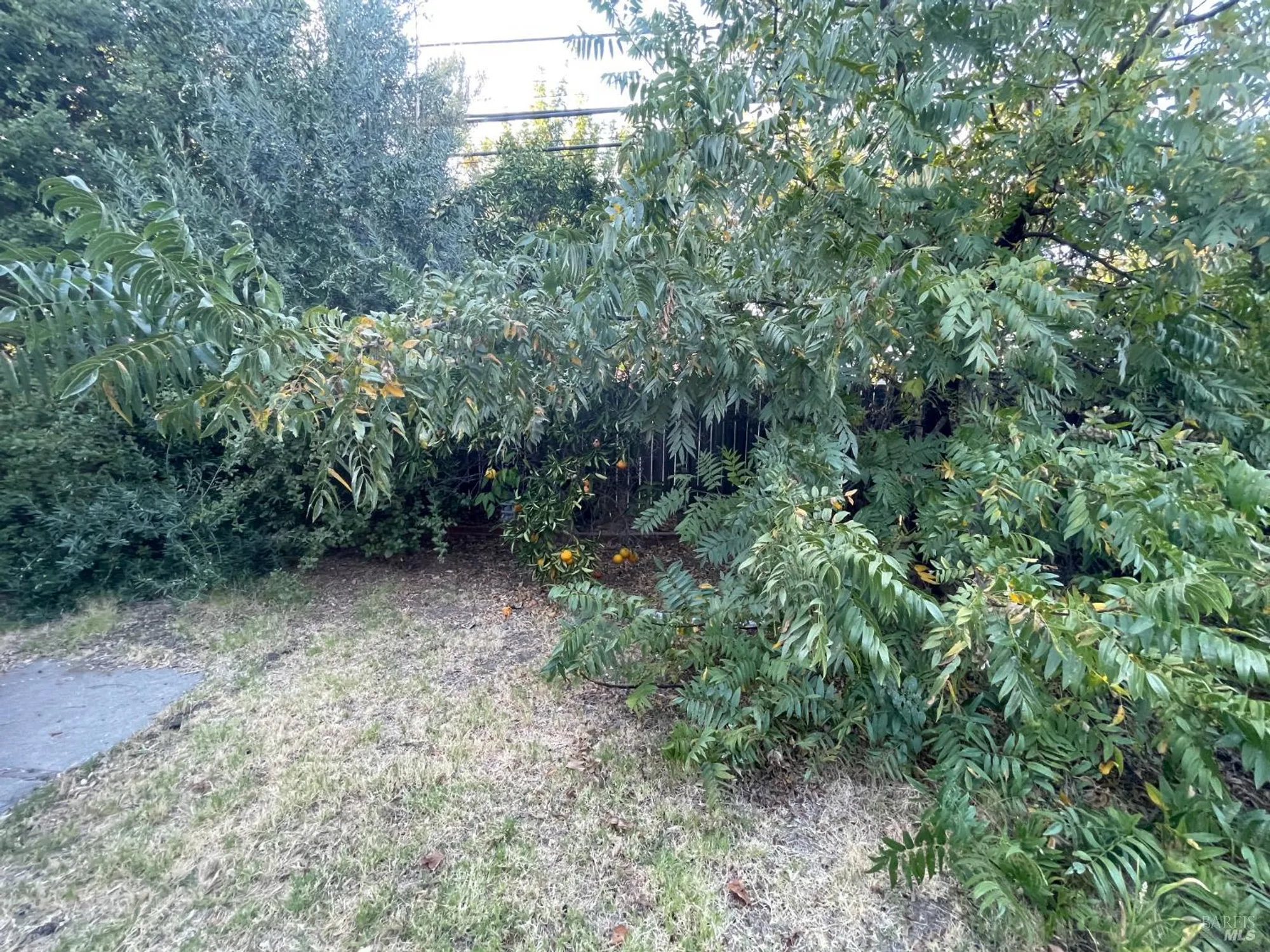 Property Slideshow image 15 of 17 | 154 rainier cir, Vacaville, CA, 95687