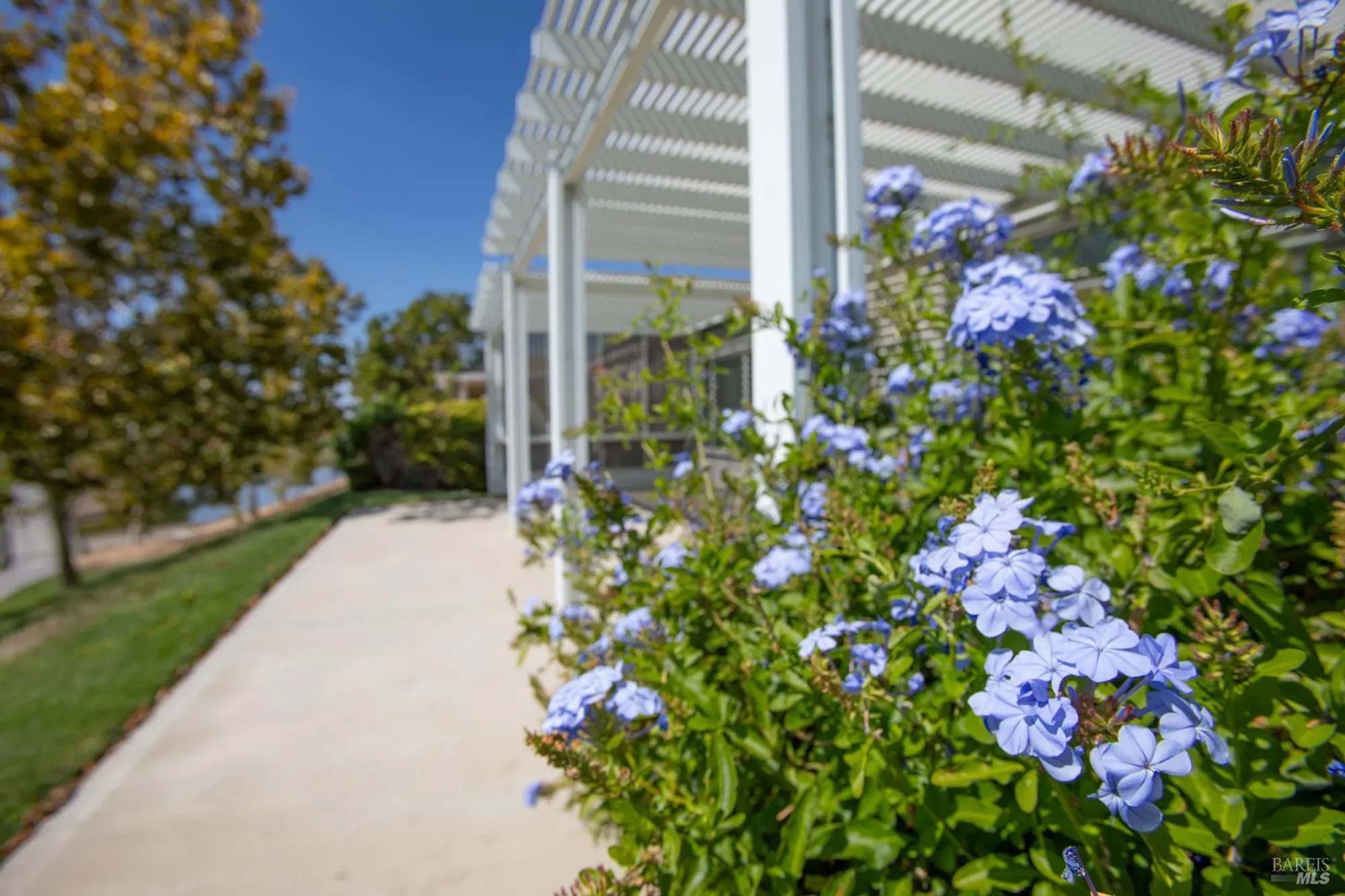 Property Slideshow image 13 of 69 | 319 cedar ridge dr, Rio Vista, CA, 94571