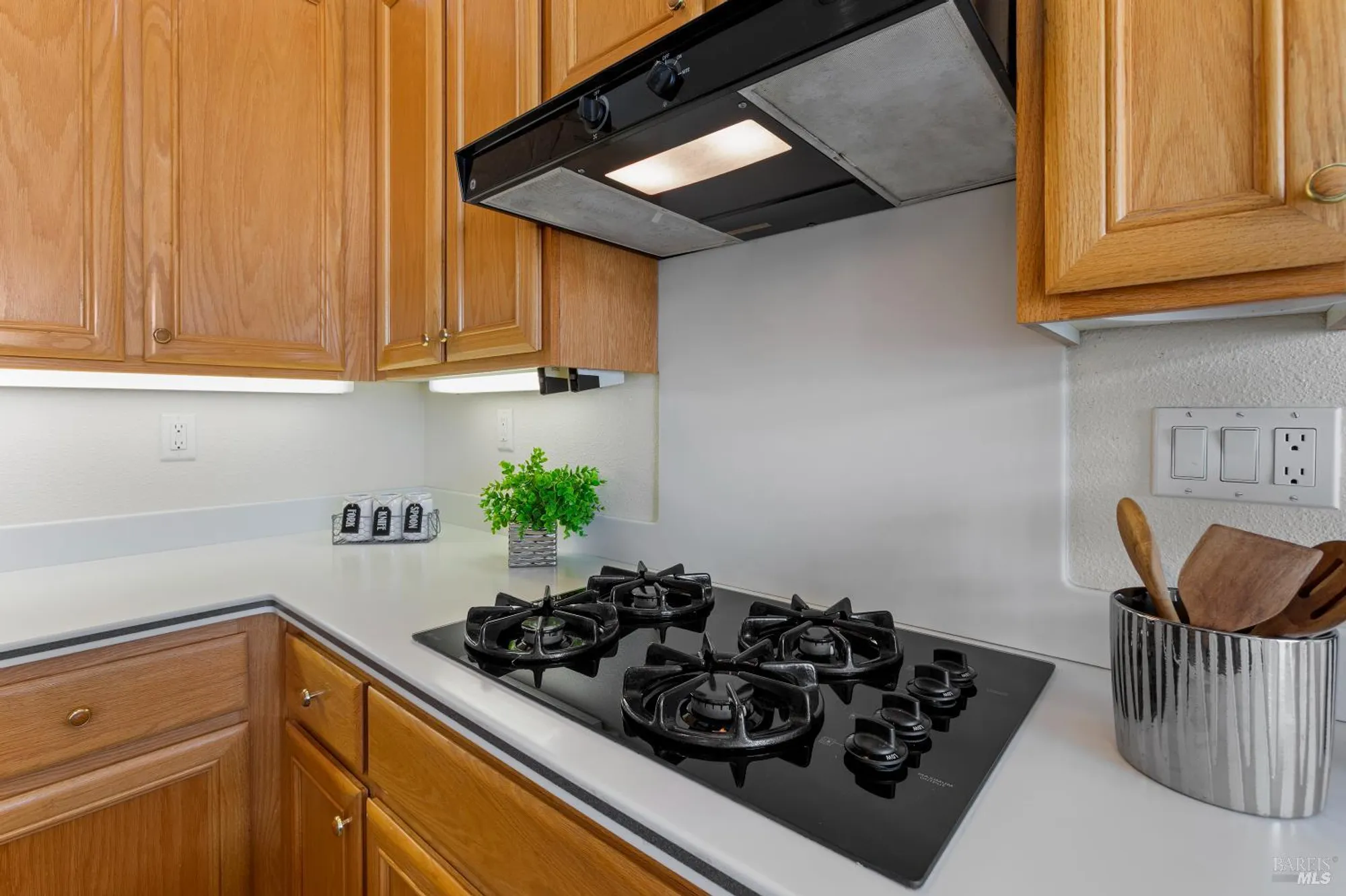 Property Slideshow image 31 of 69 | 319 cedar ridge dr, Rio Vista, CA, 94571