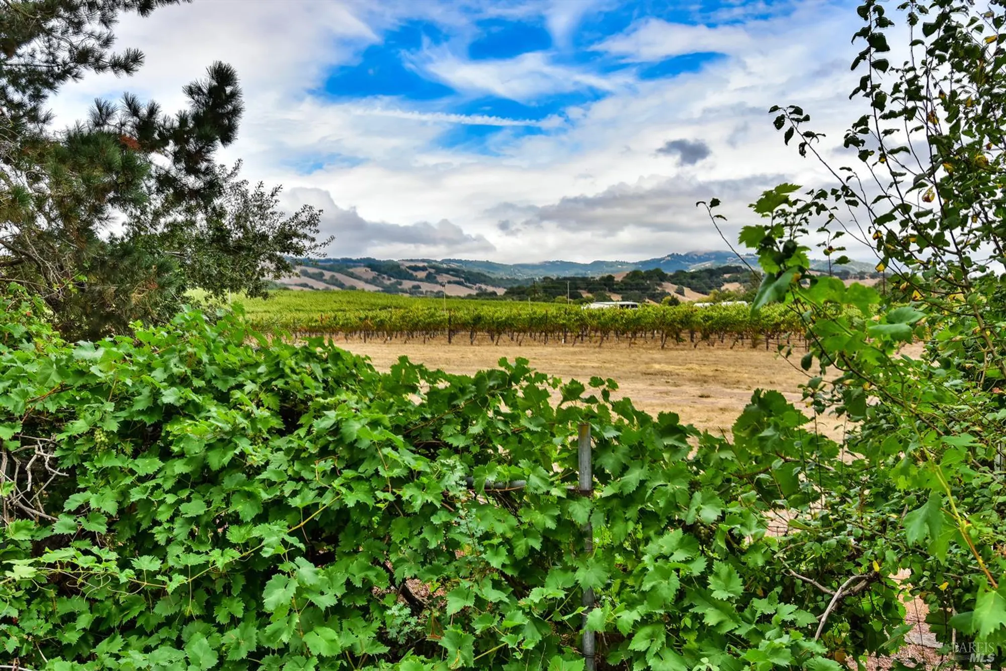 Property Slideshow image 30 of 37 | 20772 temelec dr, Sonoma, CA, 95476