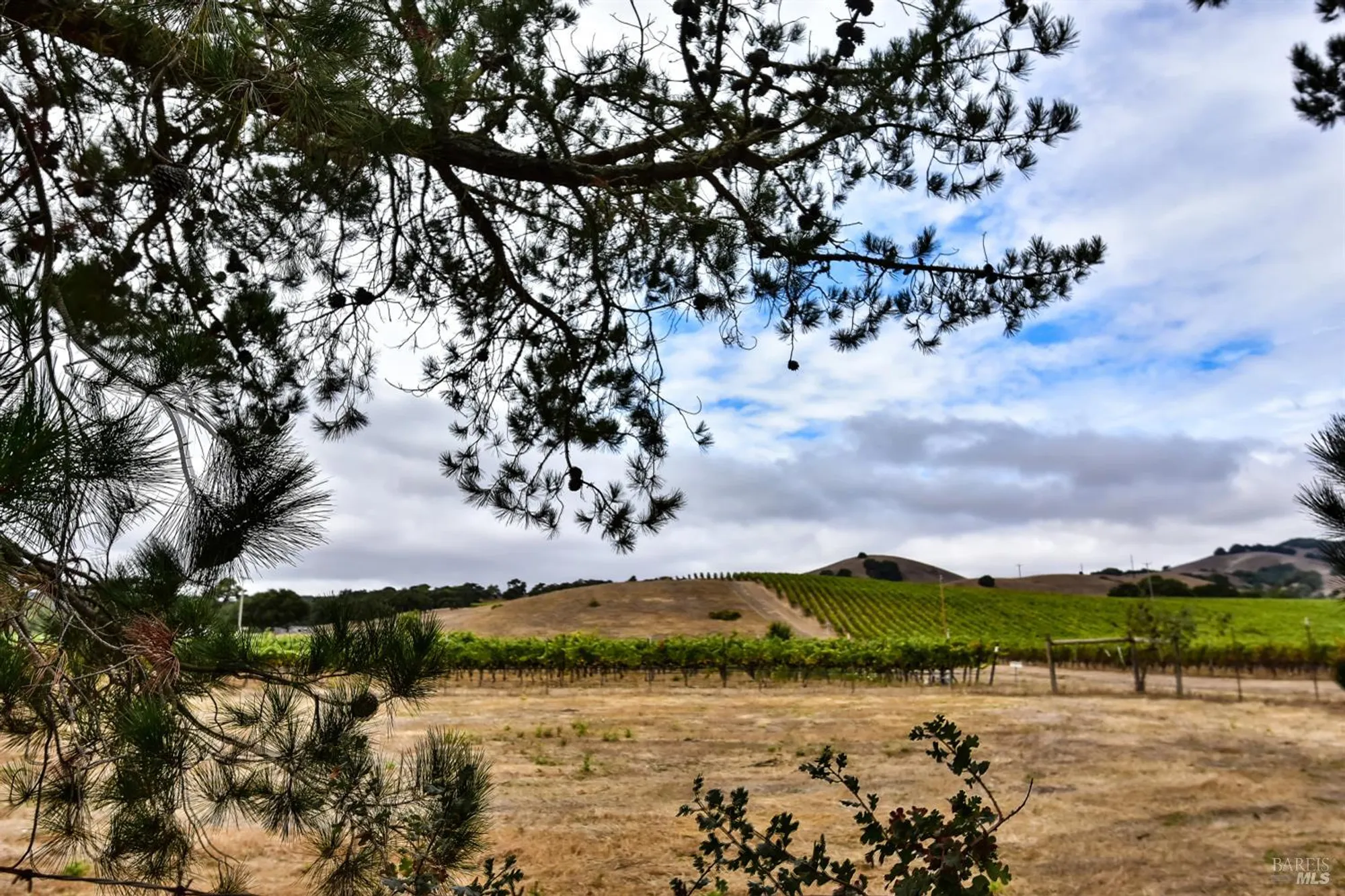 Property Slideshow image 31 of 37 | 20772 temelec dr, Sonoma, CA, 95476