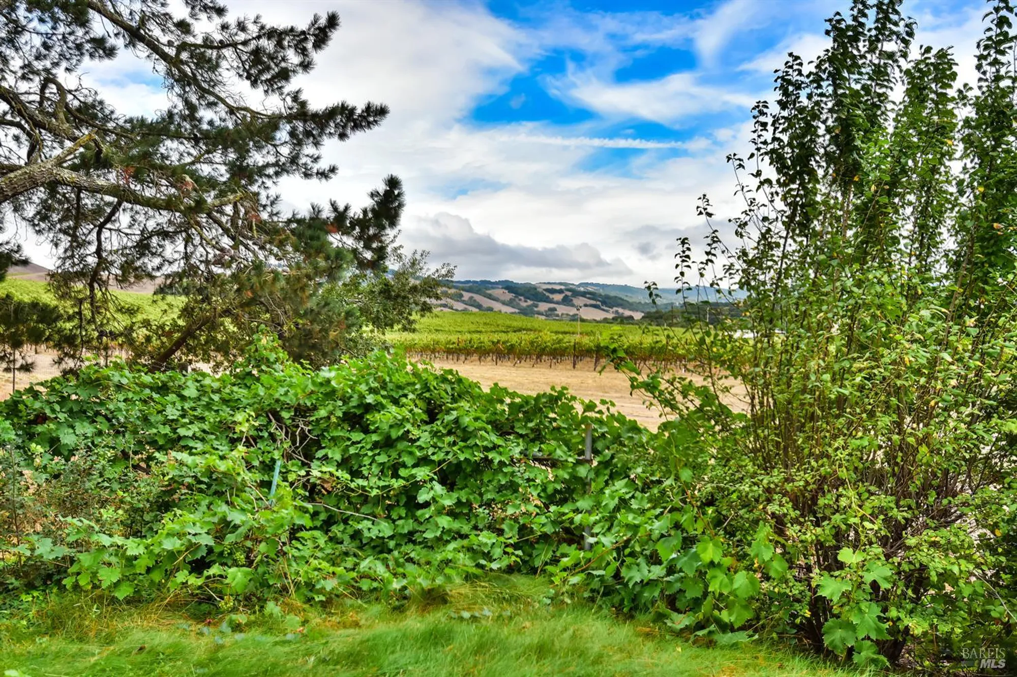 Property Slideshow image 29 of 37 | 20772 temelec dr, Sonoma, CA, 95476