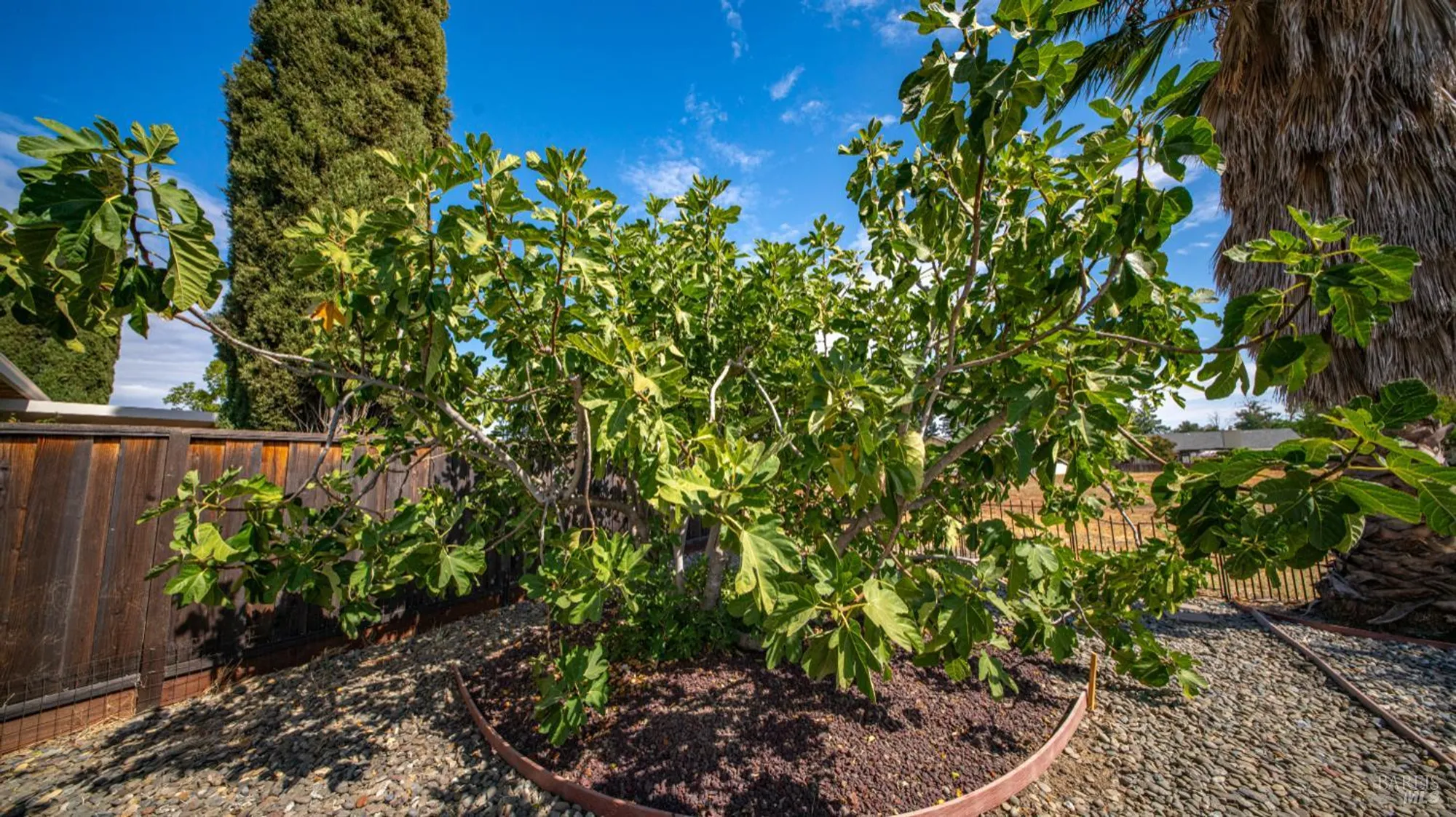 Property Slideshow image 45 of 59 | 442 yellowstone dr, Vacaville, CA, 95687