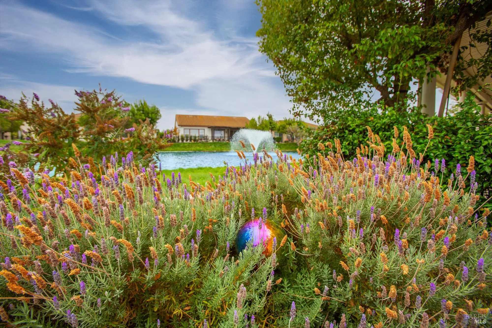 Property Slideshow image 14 of 39 | 536 quail walk way, Rio Vista, CA, 94571