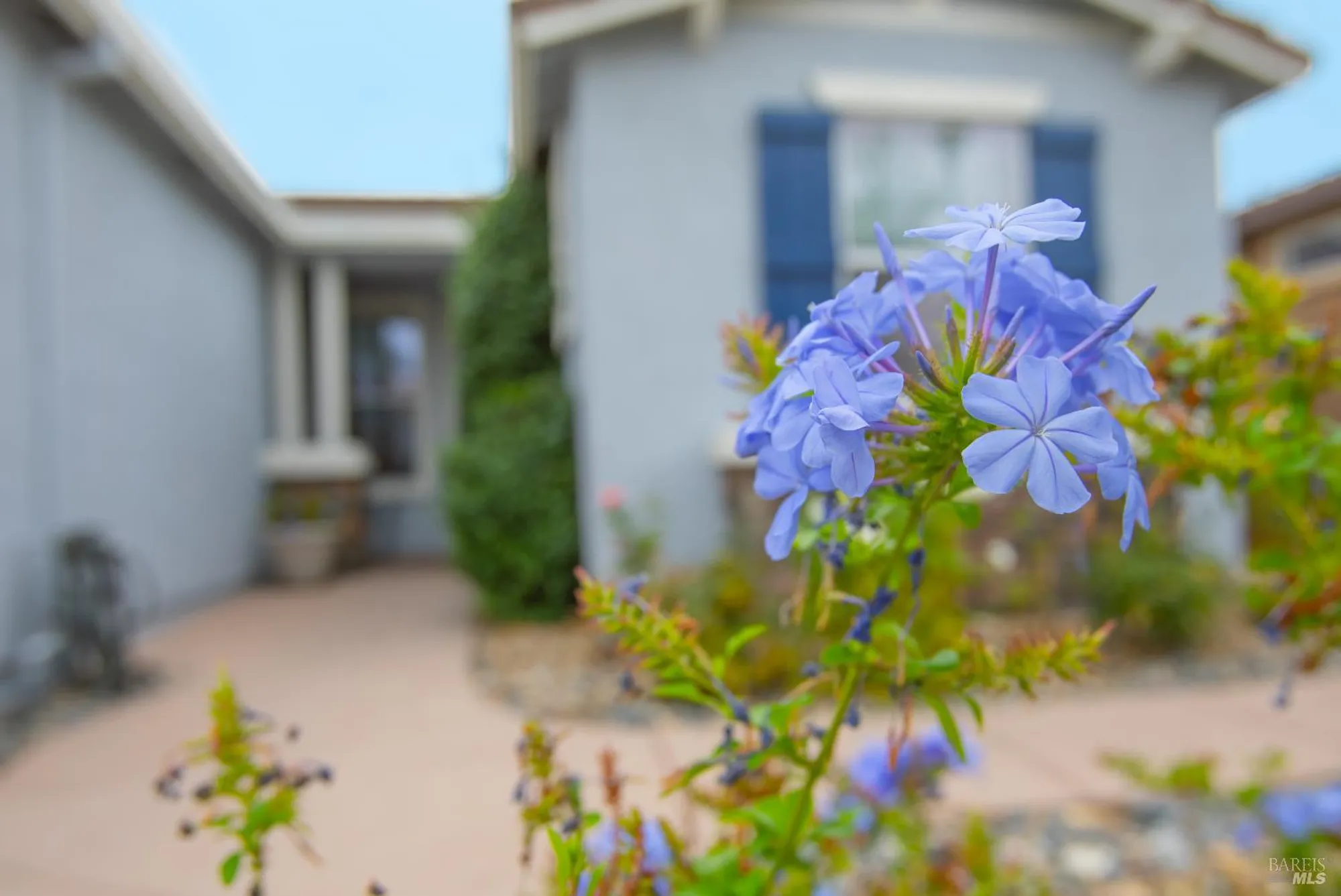 Property Slideshow image 6 of 39 | 536 quail walk way, Rio Vista, CA, 94571