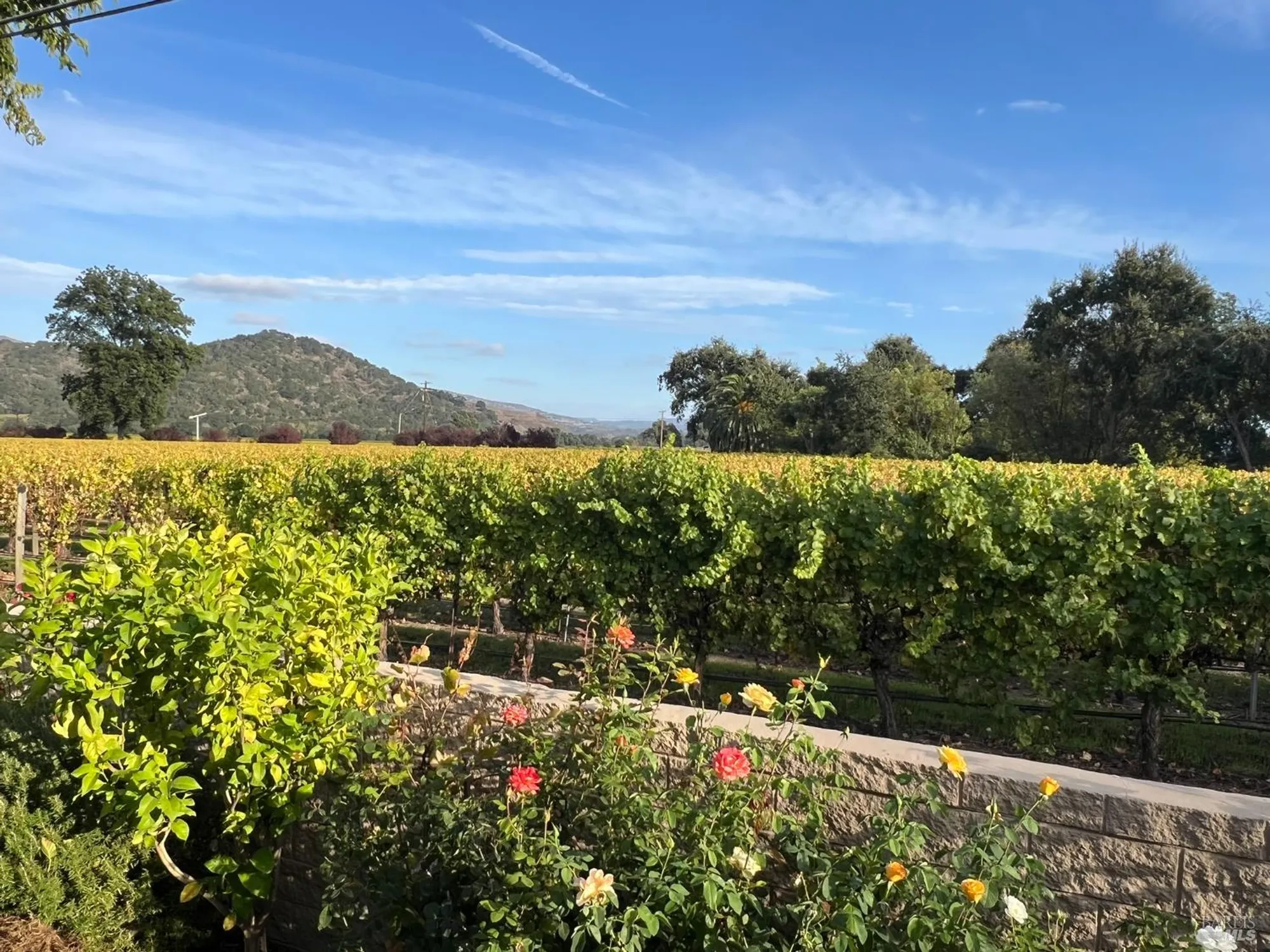 Property Slideshow image 4 of 28 | 105 claret cir, Yountville, CA, 94599