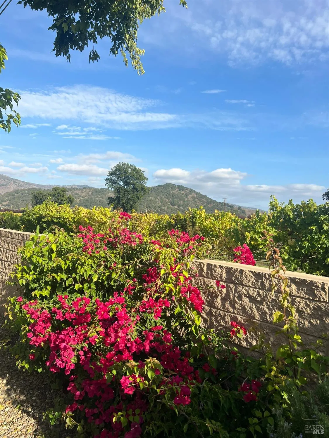 Property Slideshow image 5 of 28 | 105 claret cir, Yountville, CA, 94599