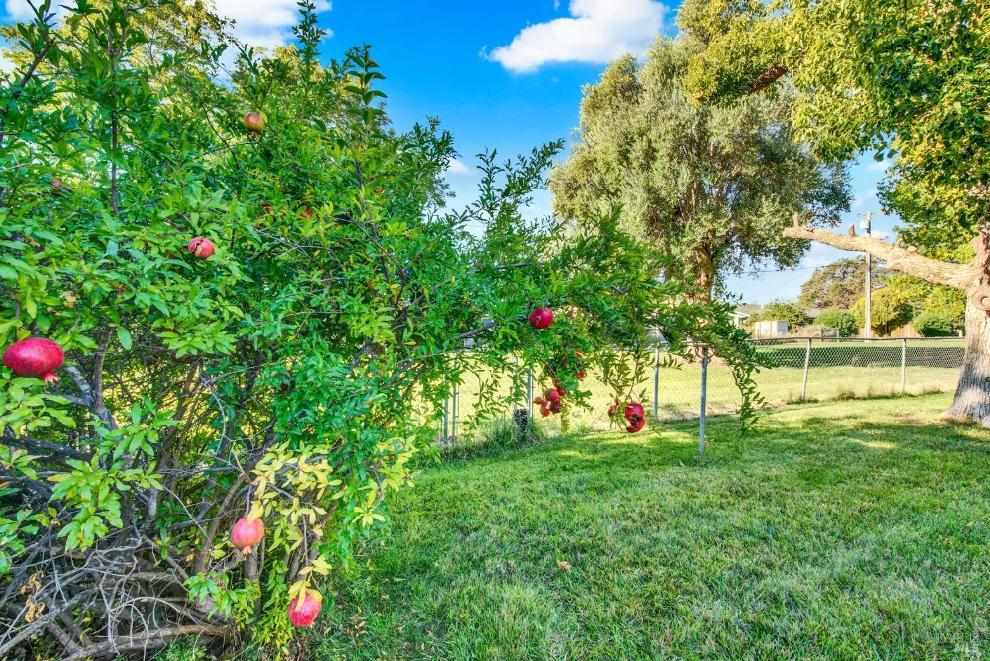 Property Slideshow image 40 of 52 | 171 mckinley cir, Vacaville, CA, 95687