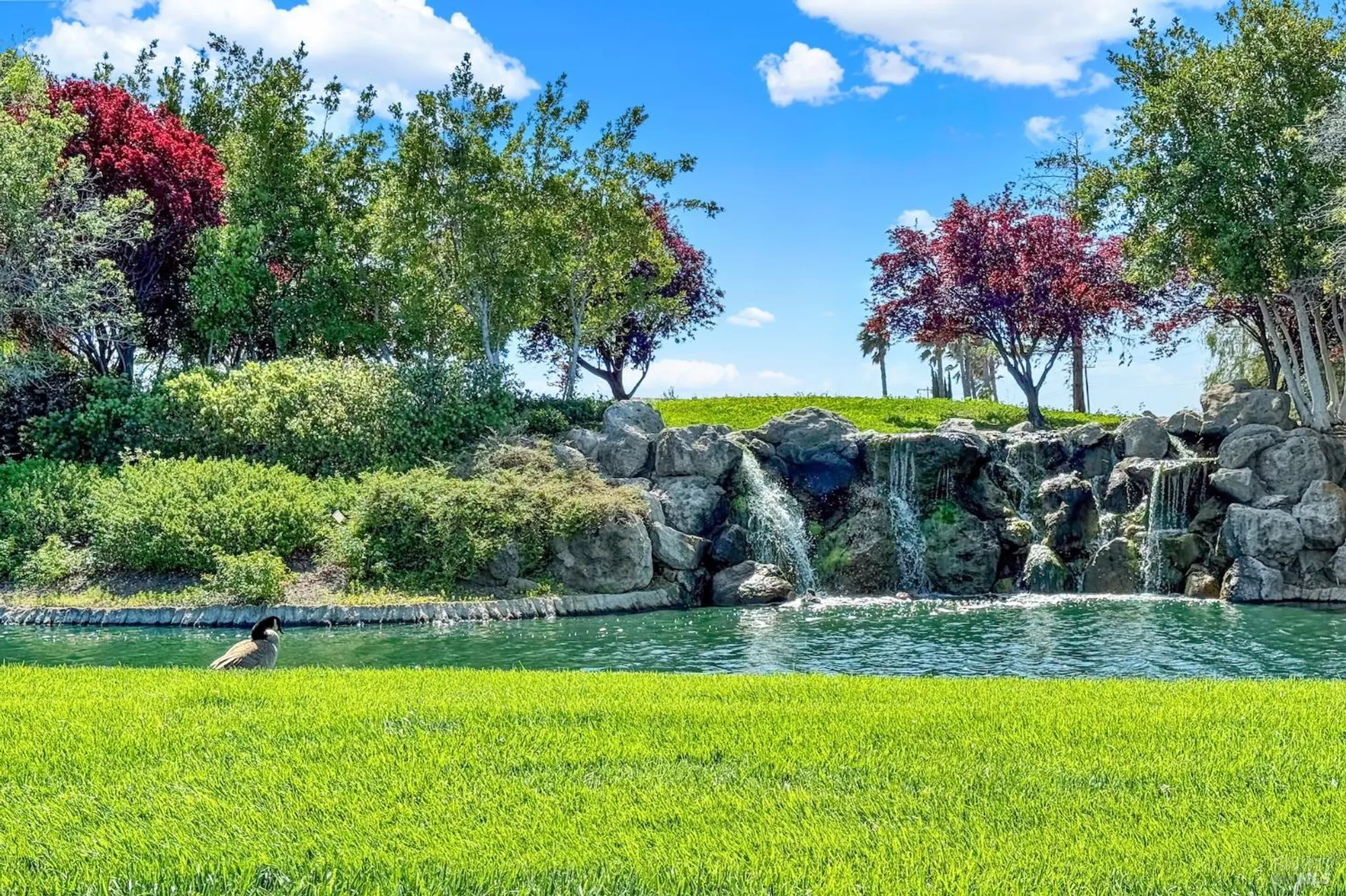 Property Slideshow image 51 of 68 | 503 mockingjay dr, Rio Vista, CA, 94571