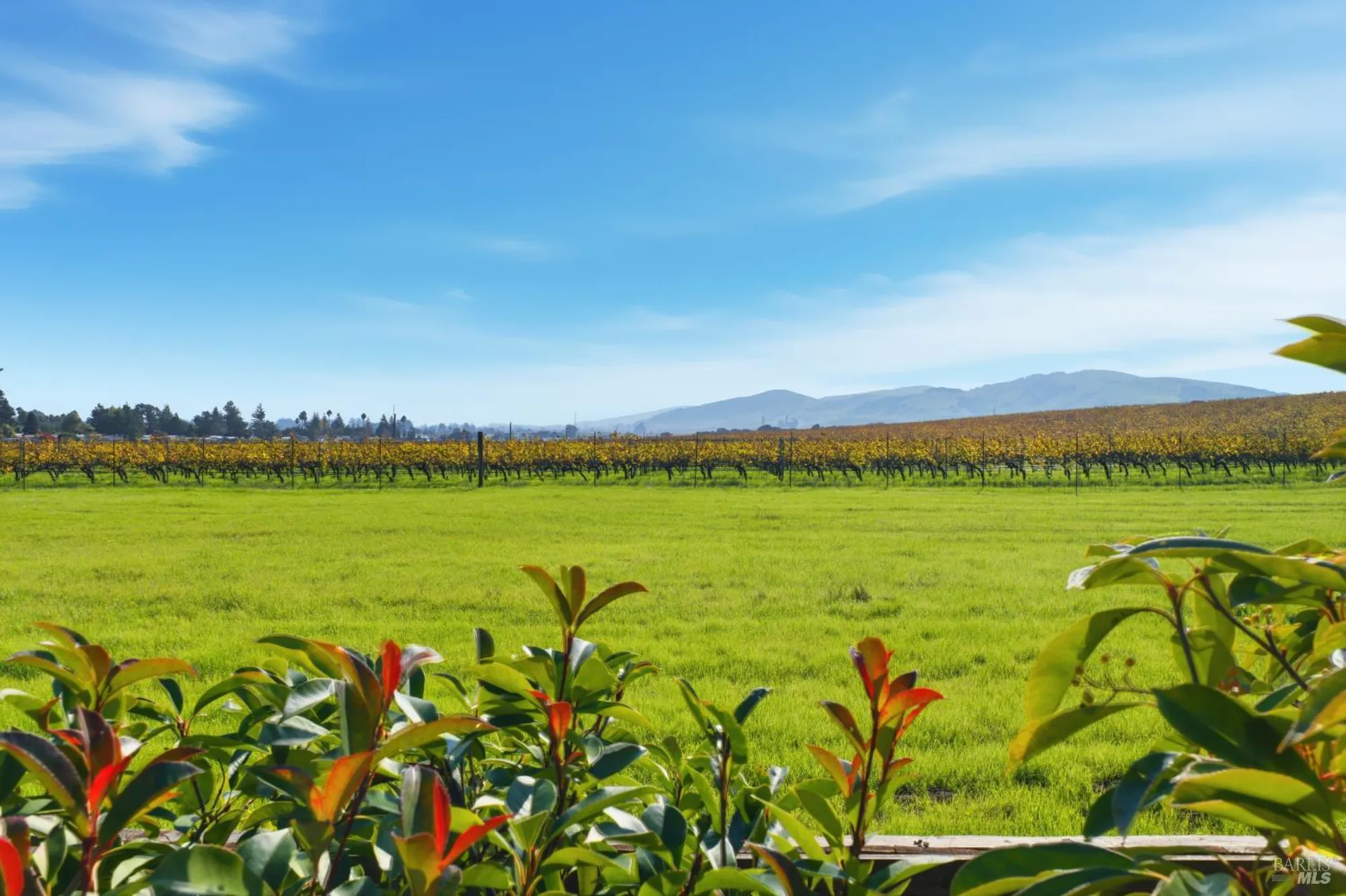 Property Slideshow image 32 of 53 | 679 lobelia ct, Sonoma, CA, 95476