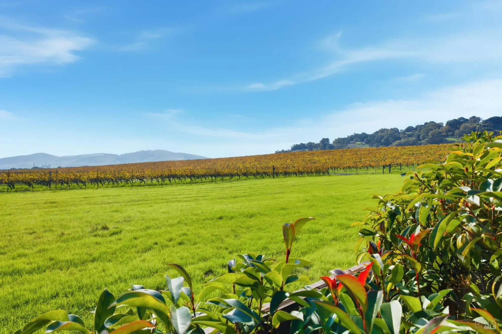 Property Slideshow image 3 of 53 | 679 lobelia ct, Sonoma, CA, 95476