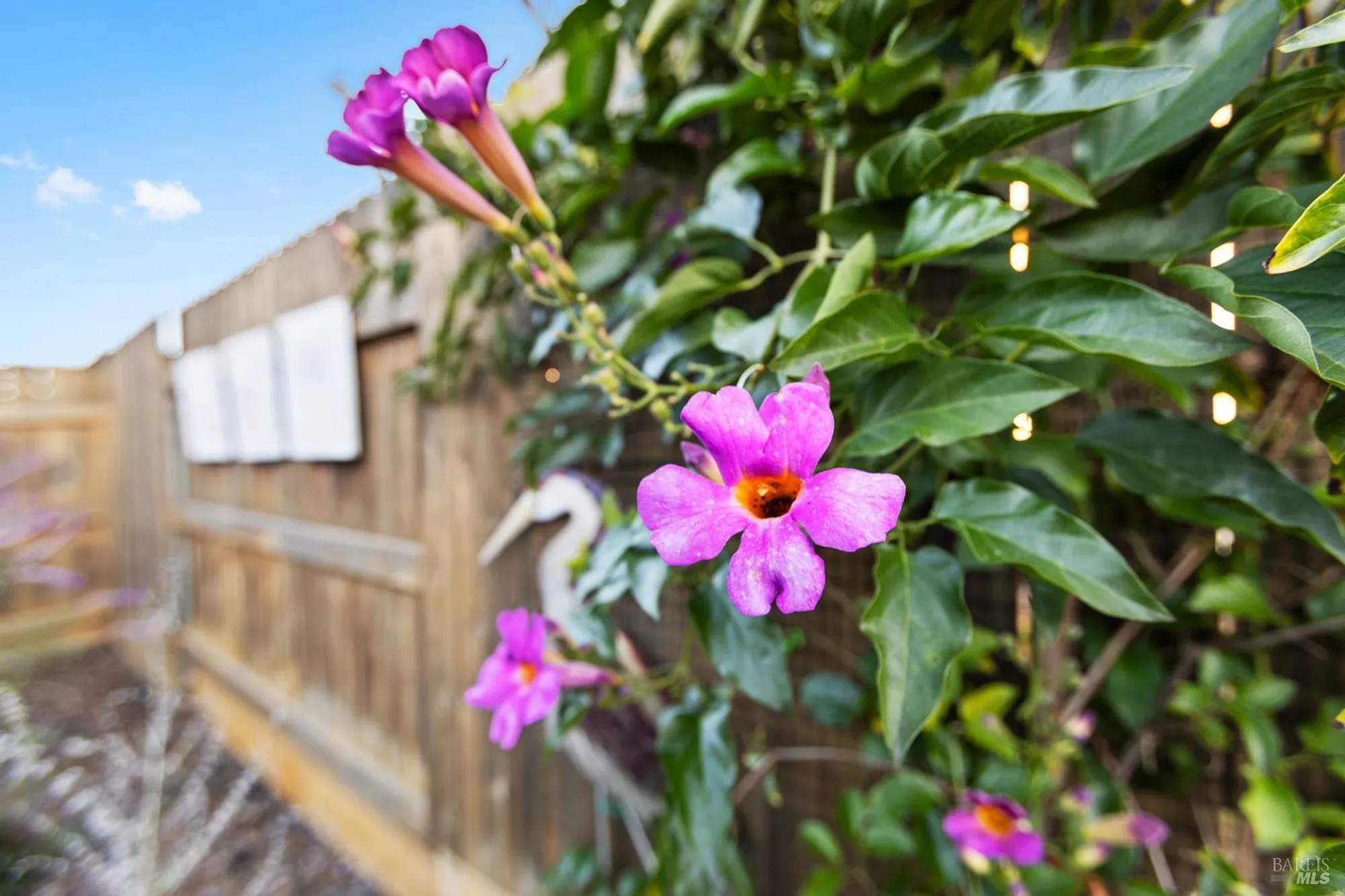 Property Slideshow image 7 of 40 | 2080 revival ln, Rio Vista, CA, 94571