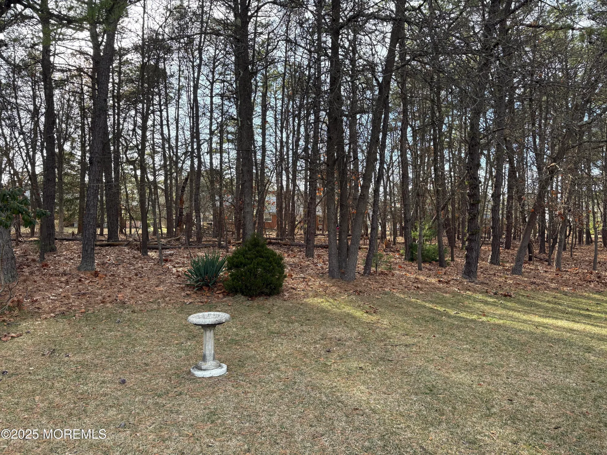 Property Slideshow image 5 of 21 | 196 constitution blvd, Whiting, NJ, 08759