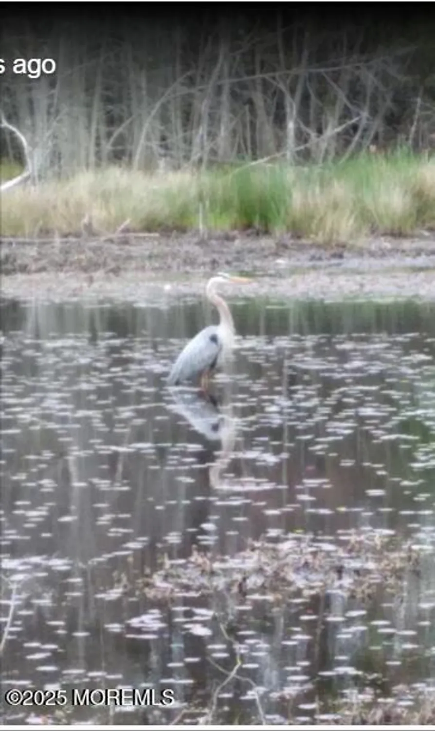 Property Slideshow image 14 of 16 | 15 alpine rd a, Whiting, NJ, 08759