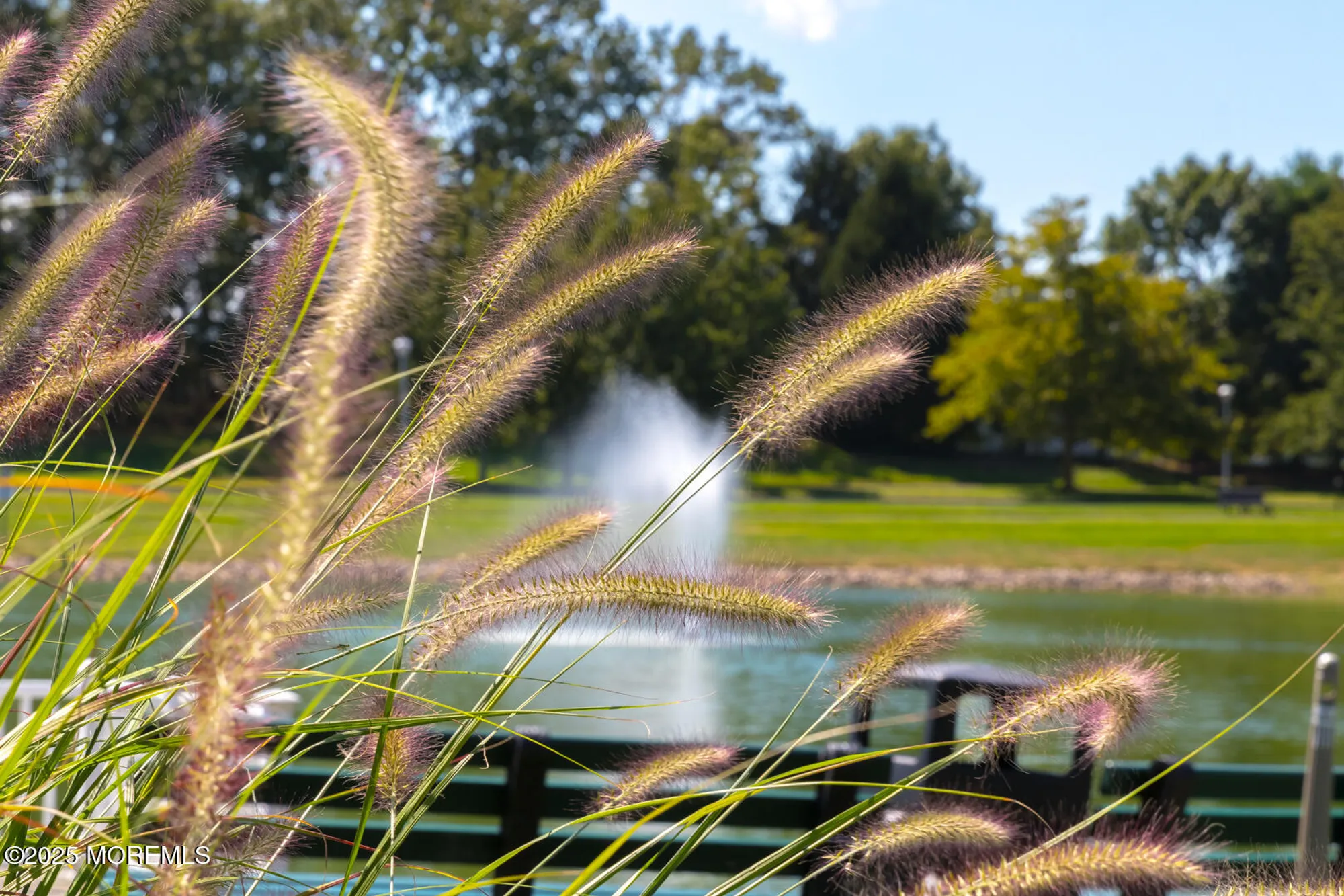 Property Slideshow image 34 of 36 | 3 winding river rd, Lakewood, NJ, 08701