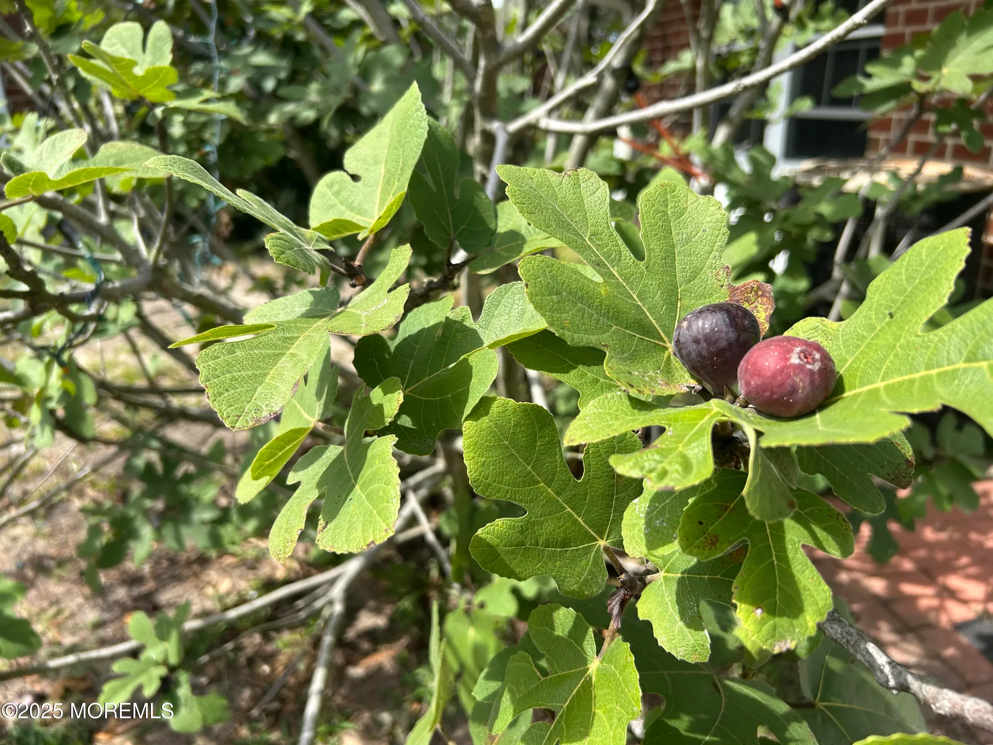 Property Slideshow image 29 of 30 | 1028b shetland dr, Lakewood, NJ, 08701