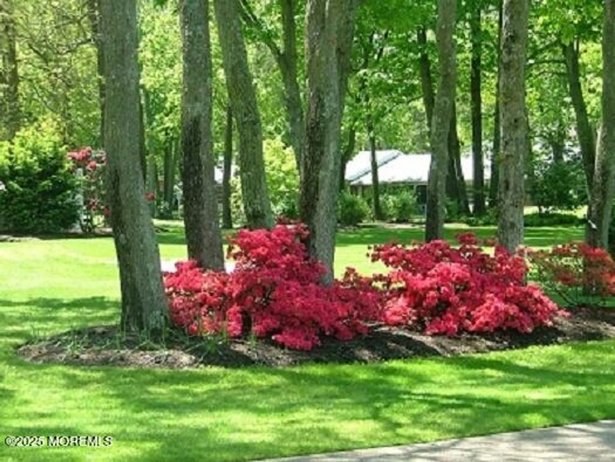 Property Slideshow image 26 of 31 | 326b coventry ct, Lakewood, NJ, 08701