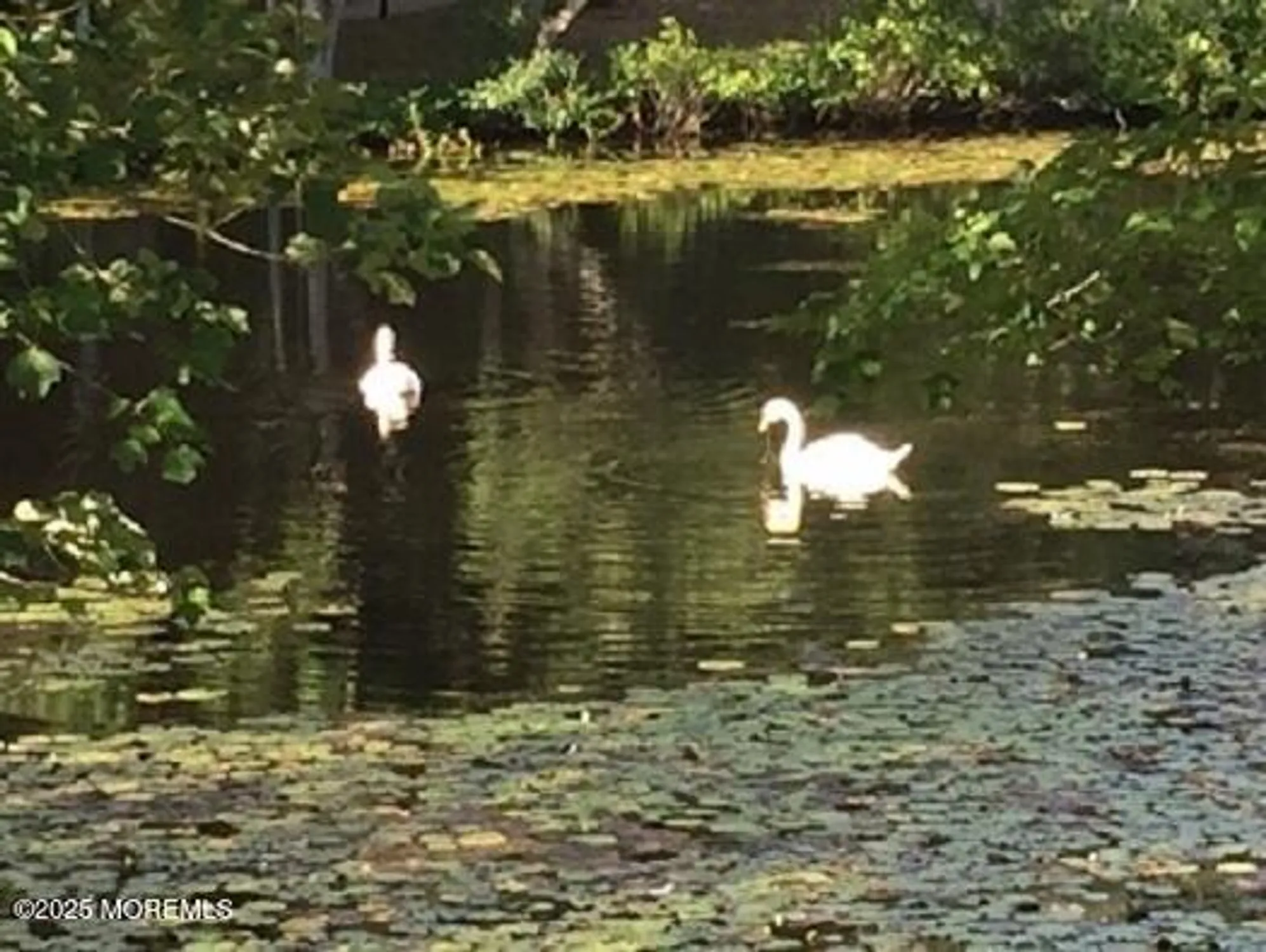 Property Slideshow image 30 of 31 | 326b coventry ct, Lakewood, NJ, 08701