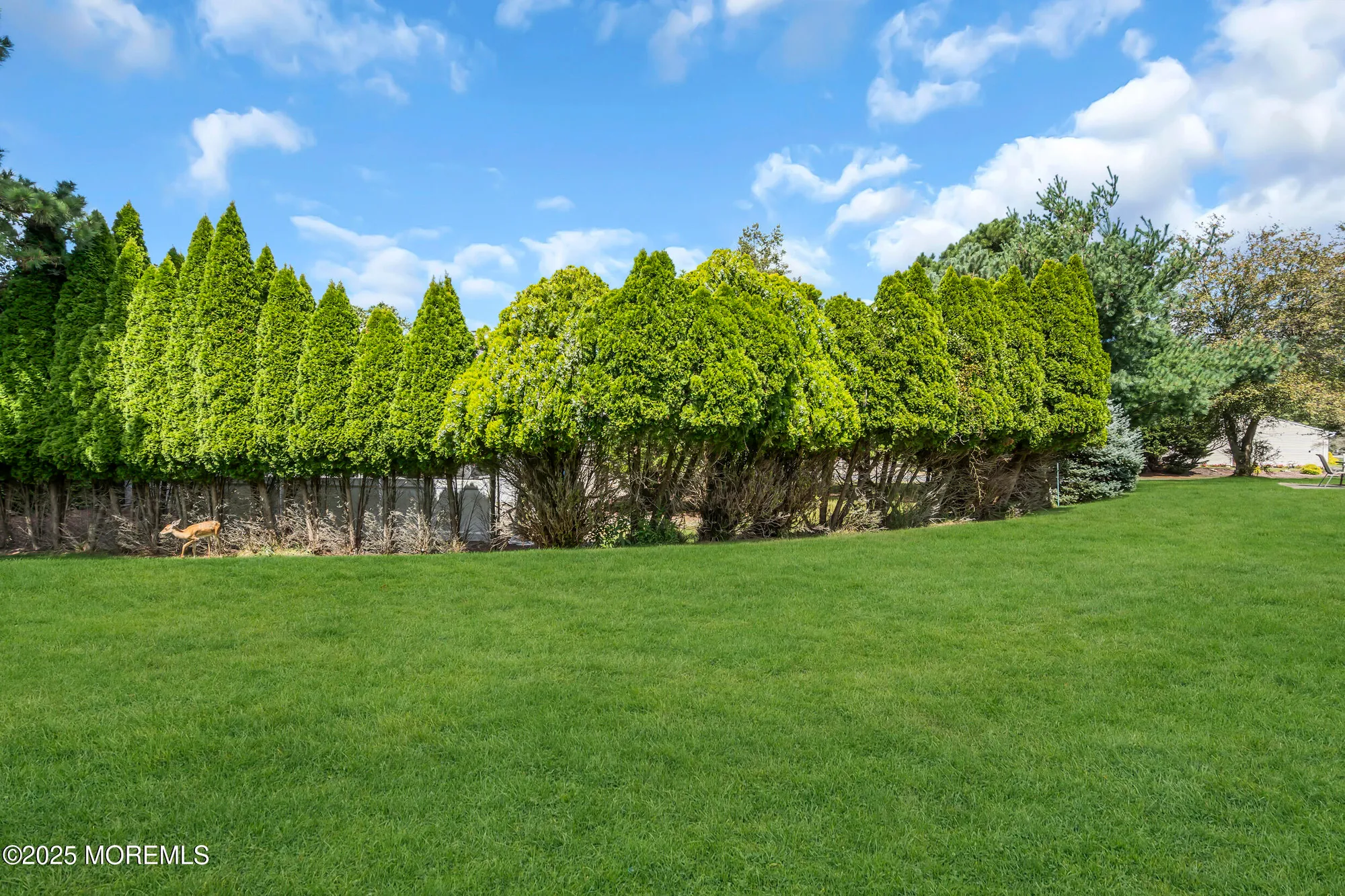 Property Slideshow image 16 of 18 | 162 castleton dr, Toms River, NJ, 08757