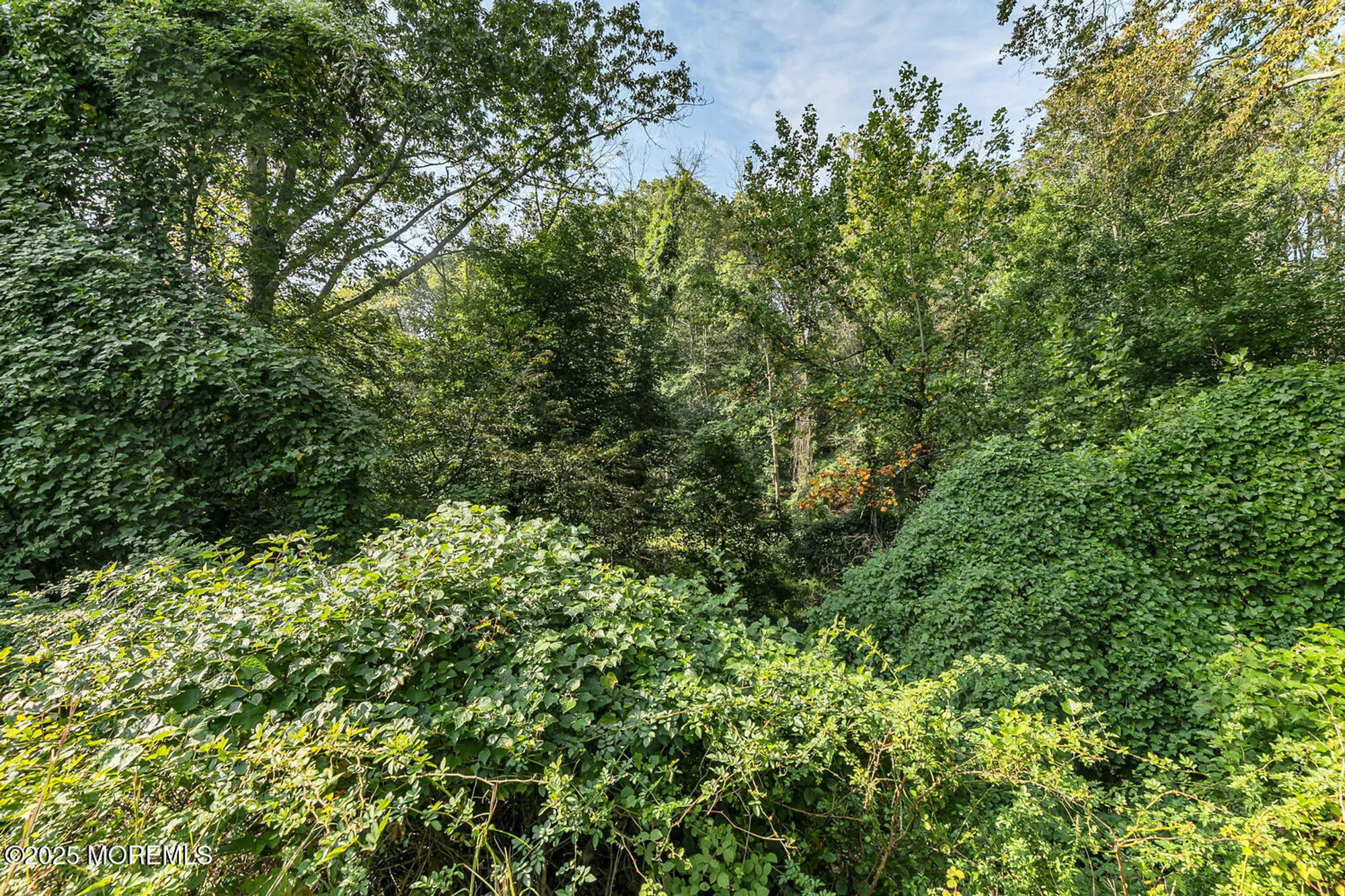 Property Slideshow image 33 of 39 | 60 falmouth ct, Red Bank, NJ, 07701