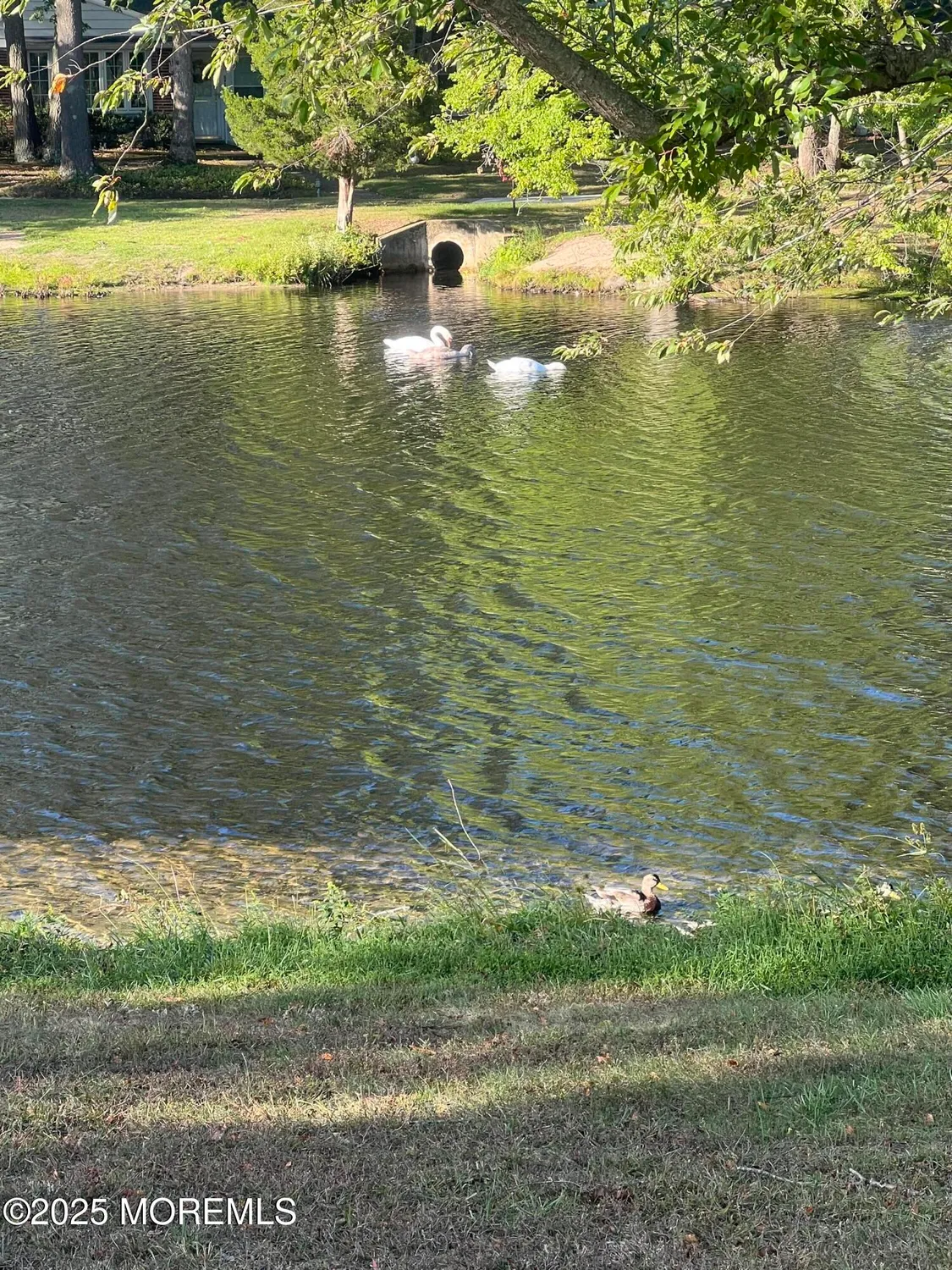 Property Slideshow image 58 of 74 | 397a chesterfield ct, Lakewood, NJ, 08701