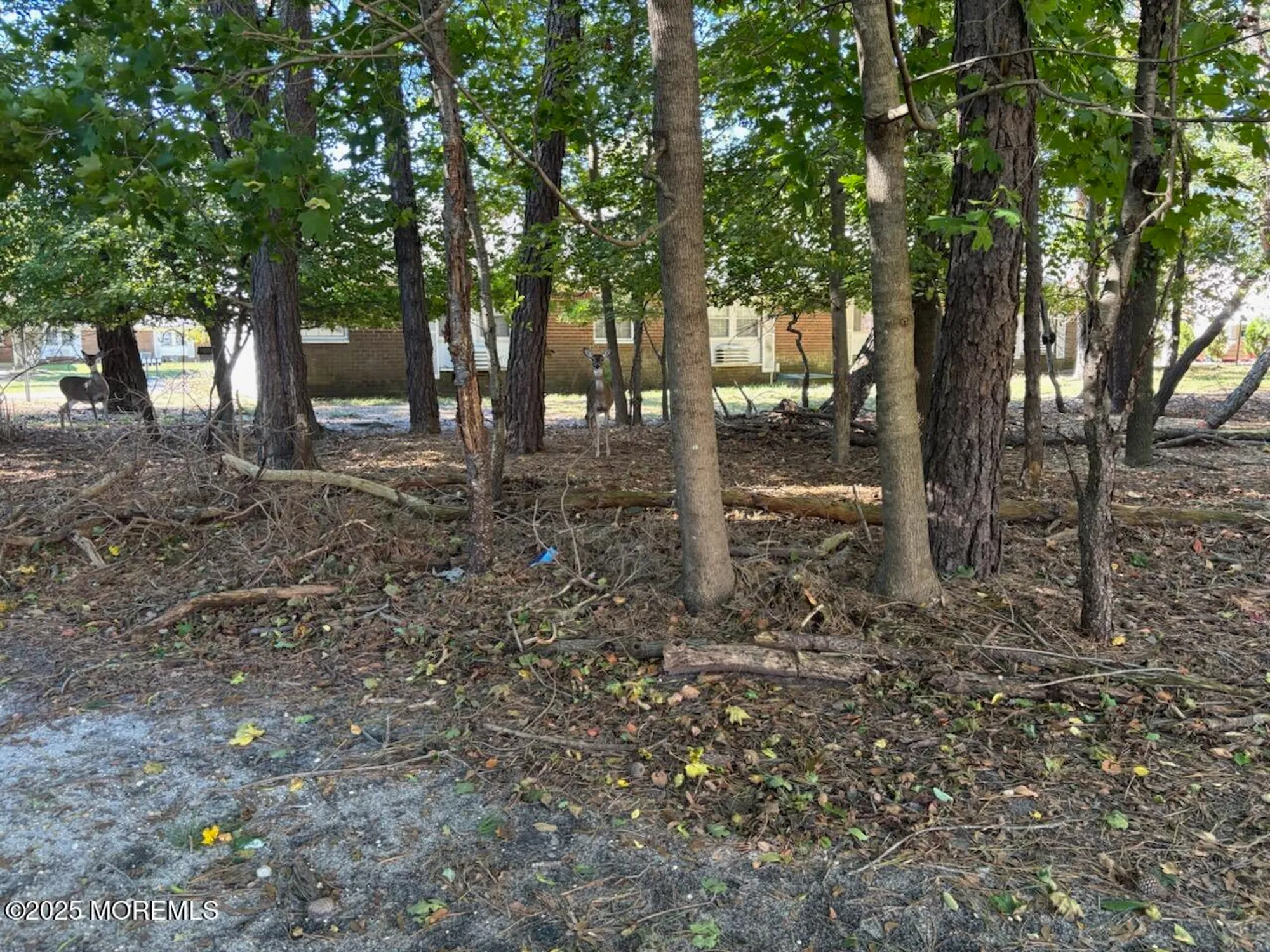 Property Slideshow image 5 of 37 | 2 bennington ln b, Whiting, NJ, 08759