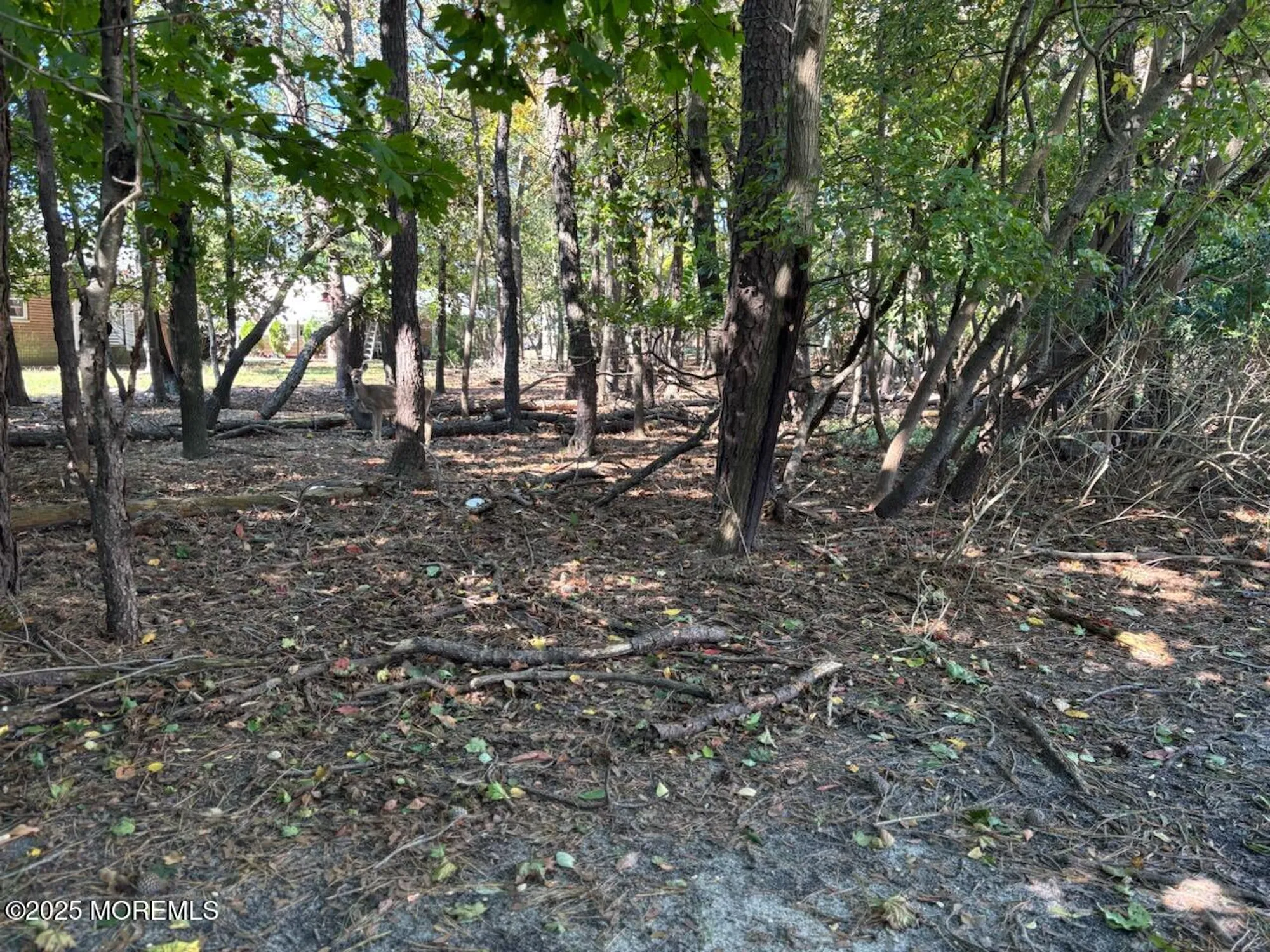 Property Slideshow image 4 of 37 | 2 bennington ln b, Whiting, NJ, 08759