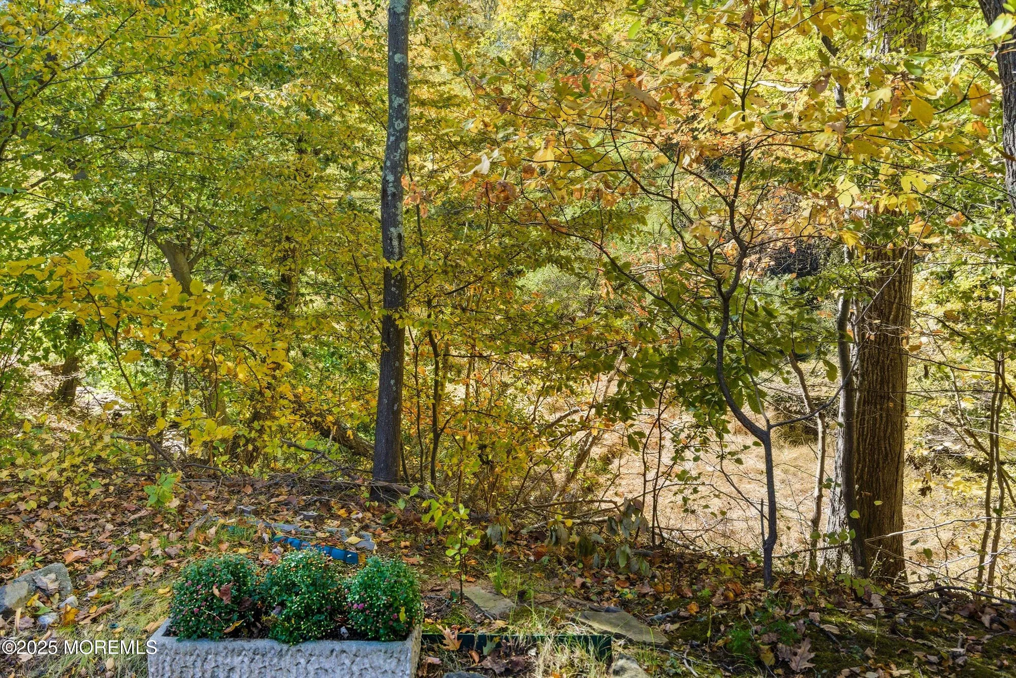 Property Slideshow image 20 of 32 | 32 ellsworth ct, Red Bank, NJ, 07701