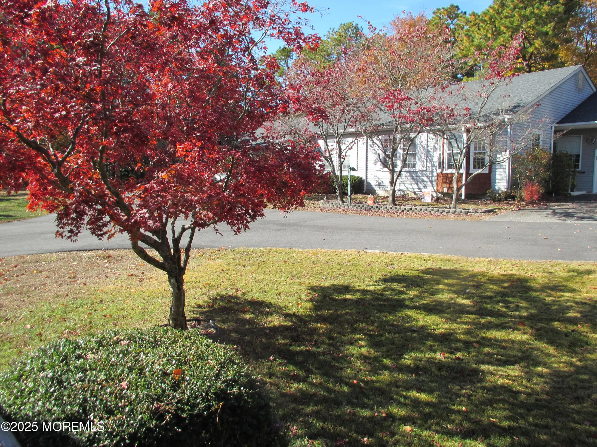 Property Slideshow image 10 of 23 | 9a ardsley ave # 64, Whiting, NJ, 08759