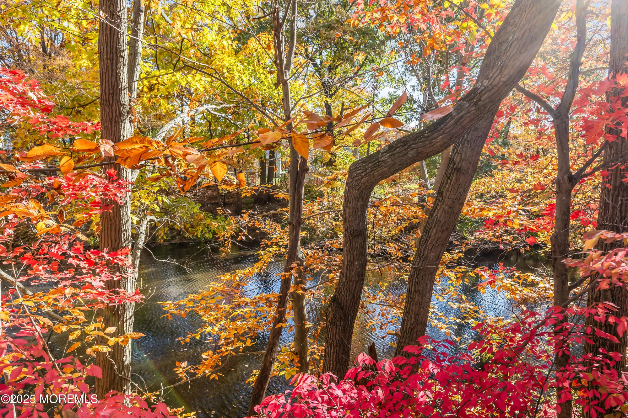 Property Slideshow image 28 of 32 | 5 indiana ct a, Matawan, NJ, 07747