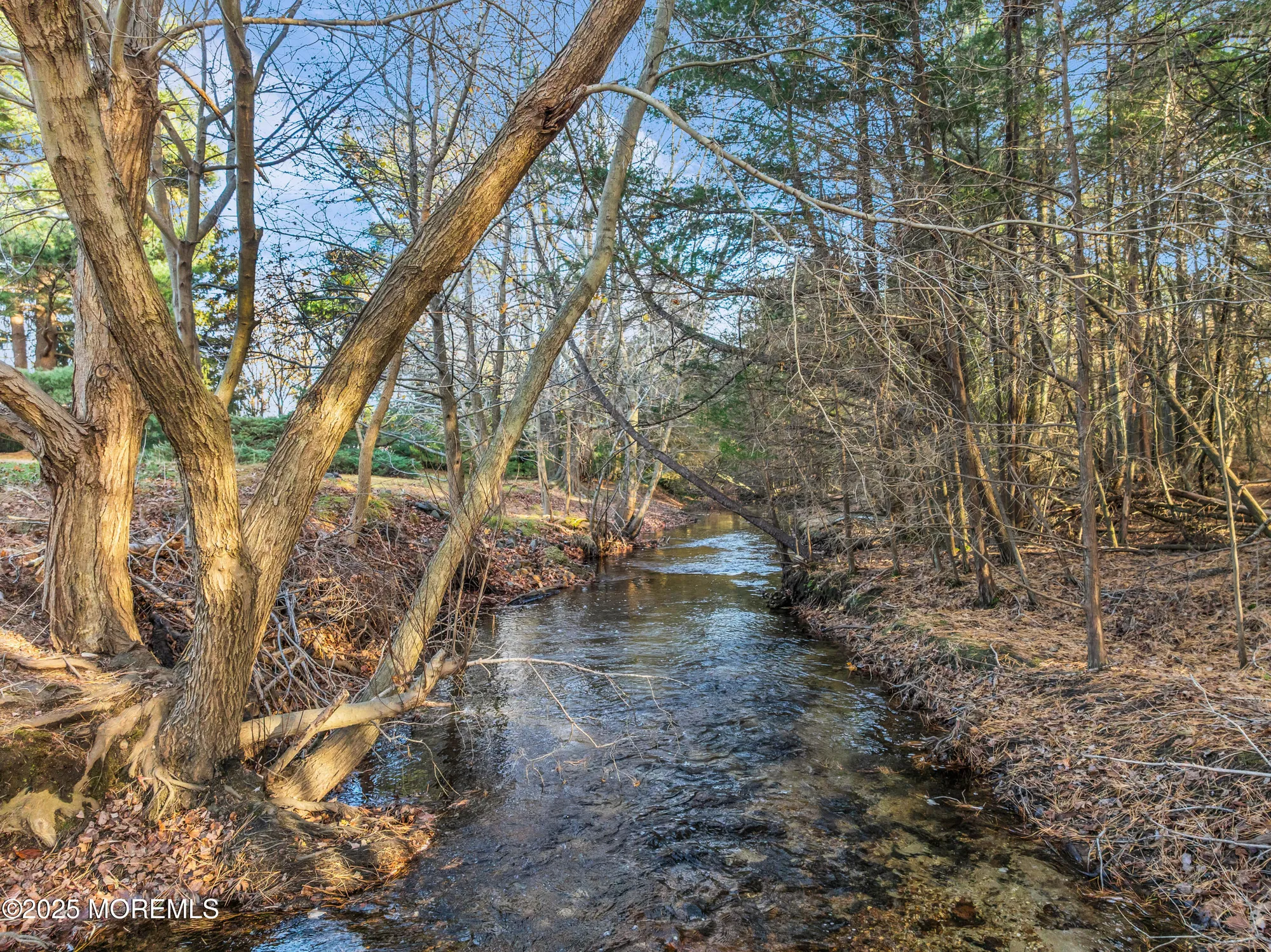 Property Slideshow image 5 of 26 | 1155 edgebrook dr, Toms River, NJ, 08757